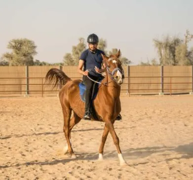 Horse-riding in Raqeem Hotel
