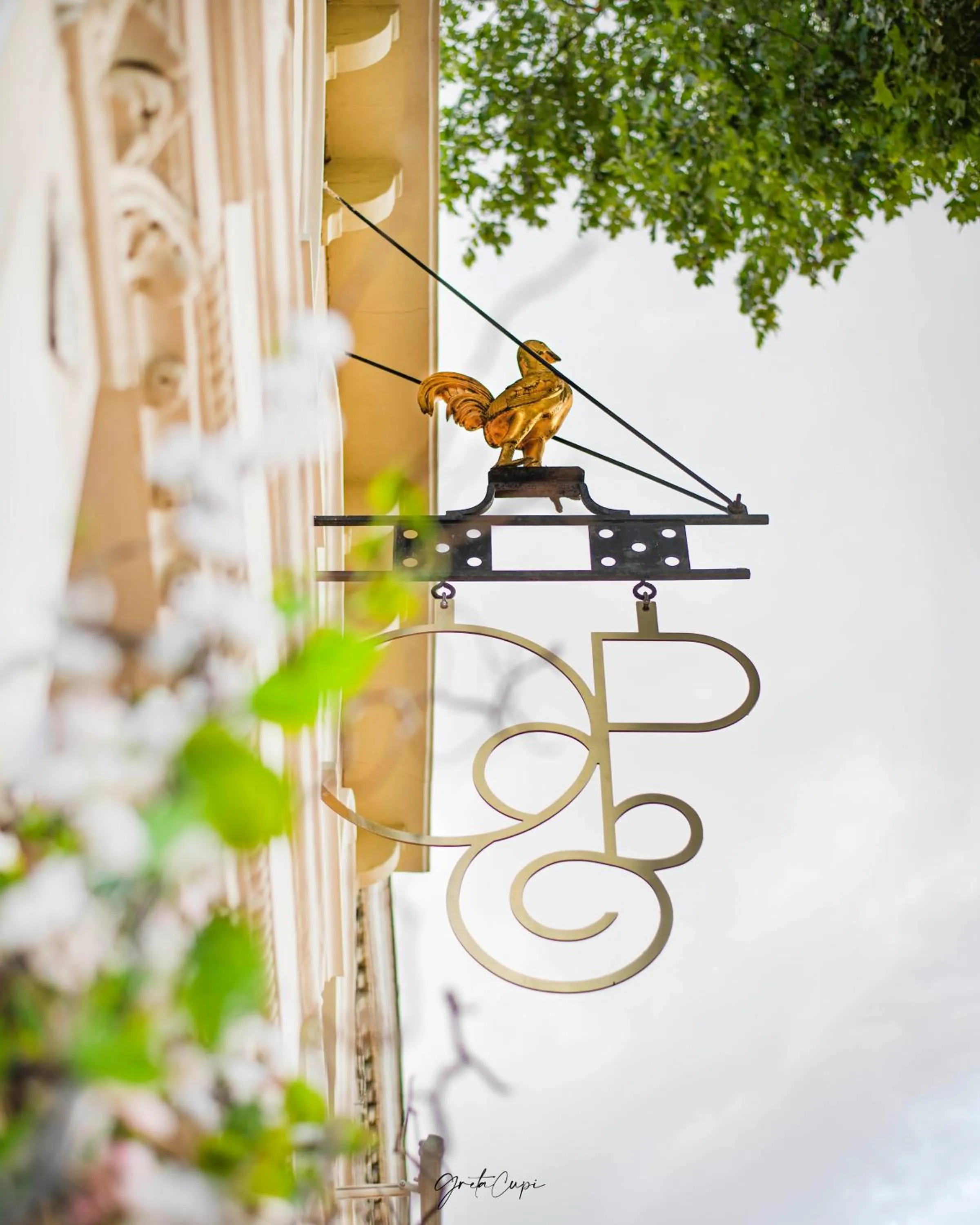 Property building in Oak & Poppy