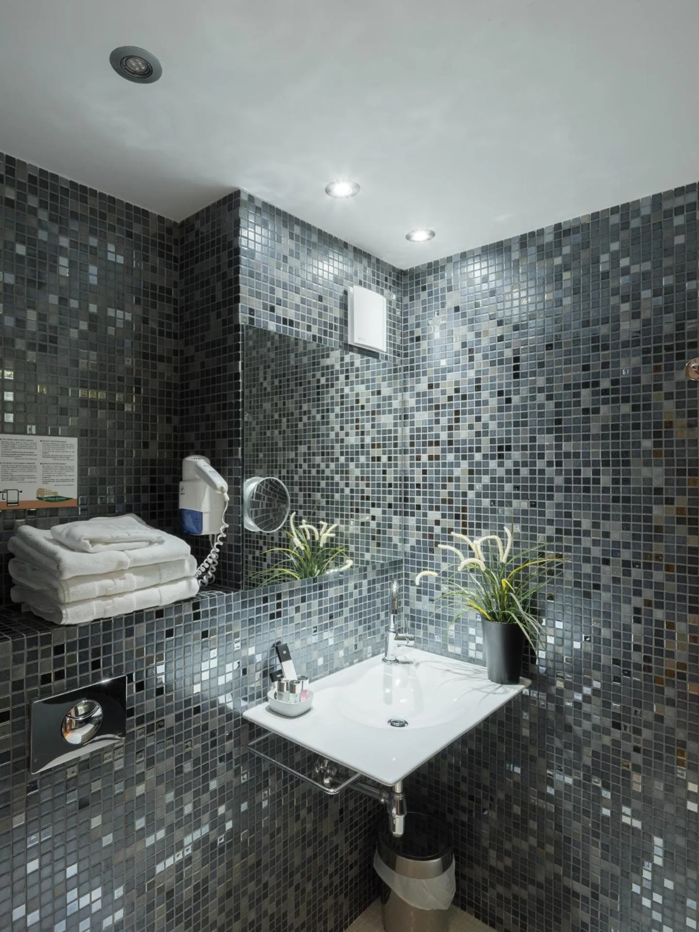 Toilet in Les Planes del Grau