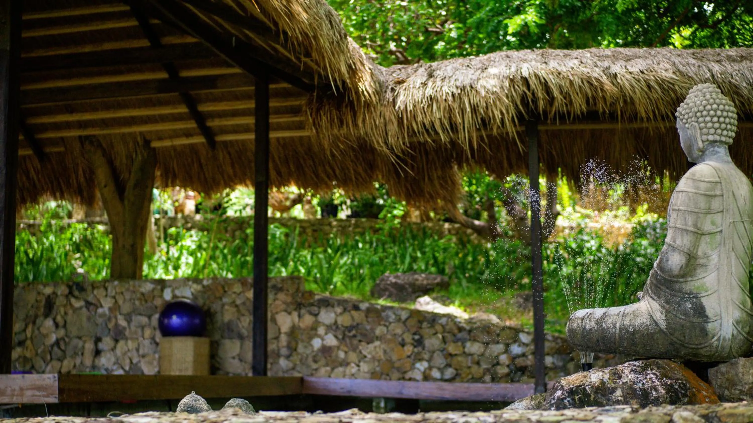 Natural landscape in The Dream Beach Resort