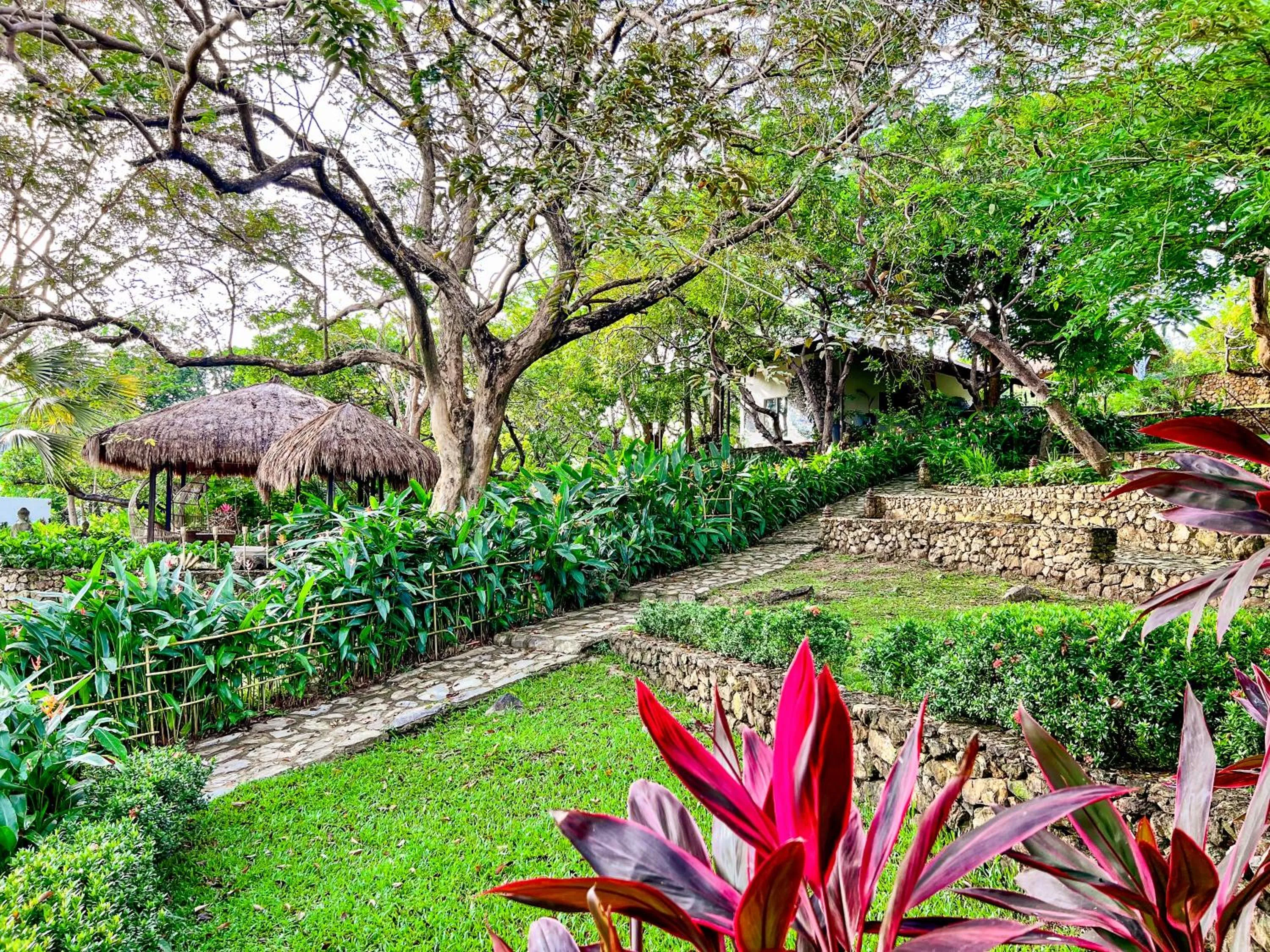 Natural landscape in The Dream Beach Resort