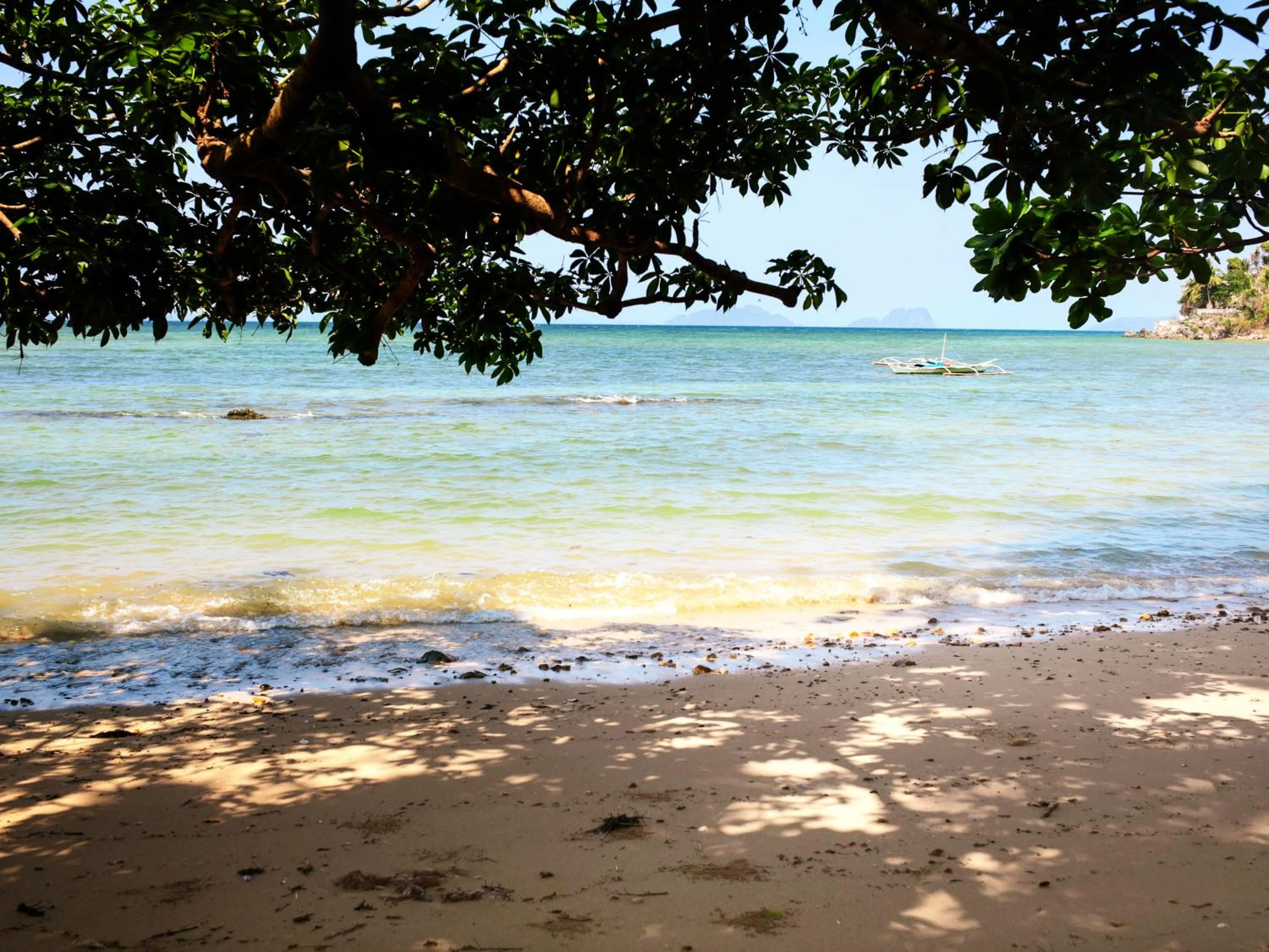 Beach in The Dream Beach Resort