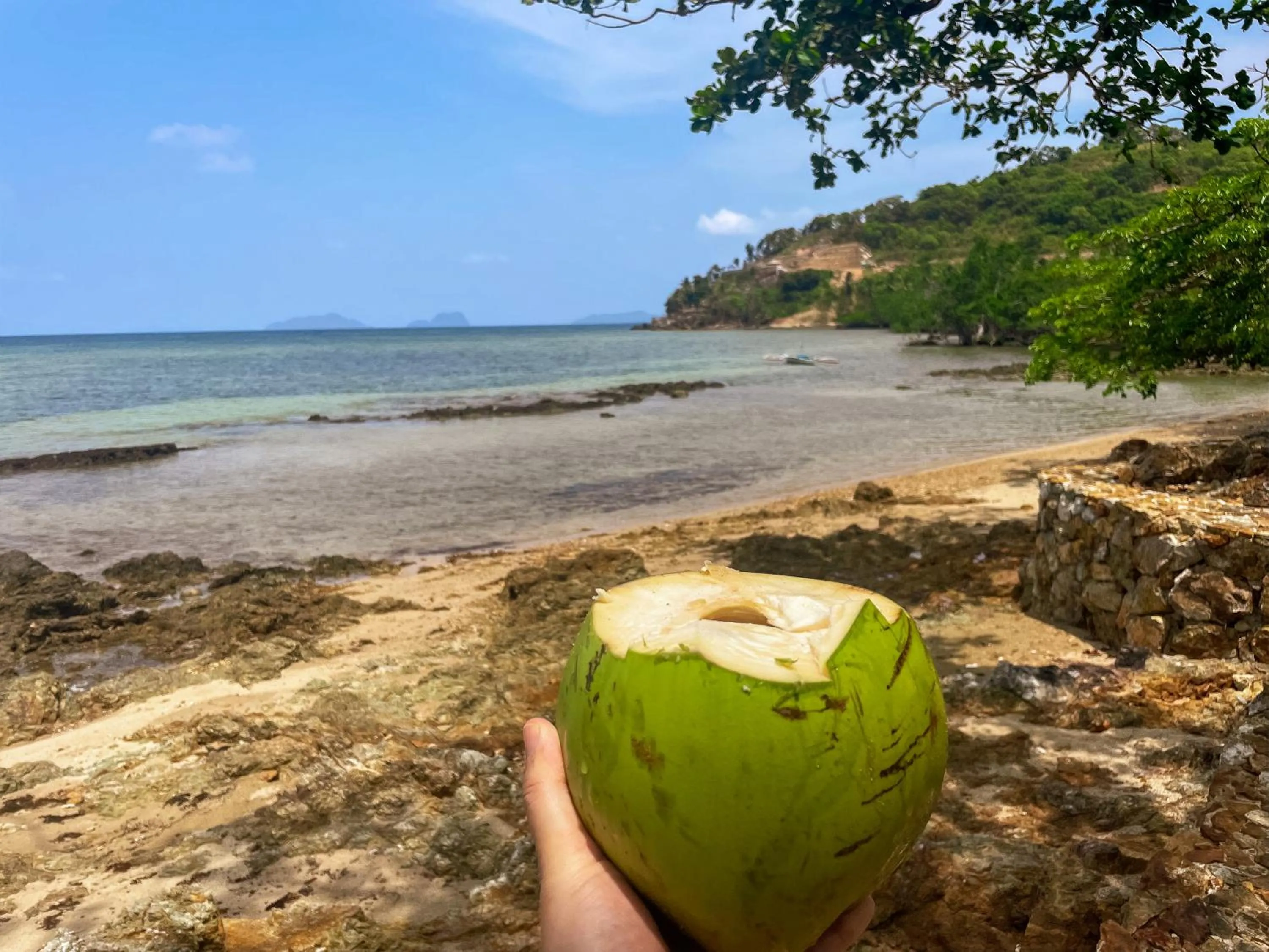 Summer in The Dream Beach Resort