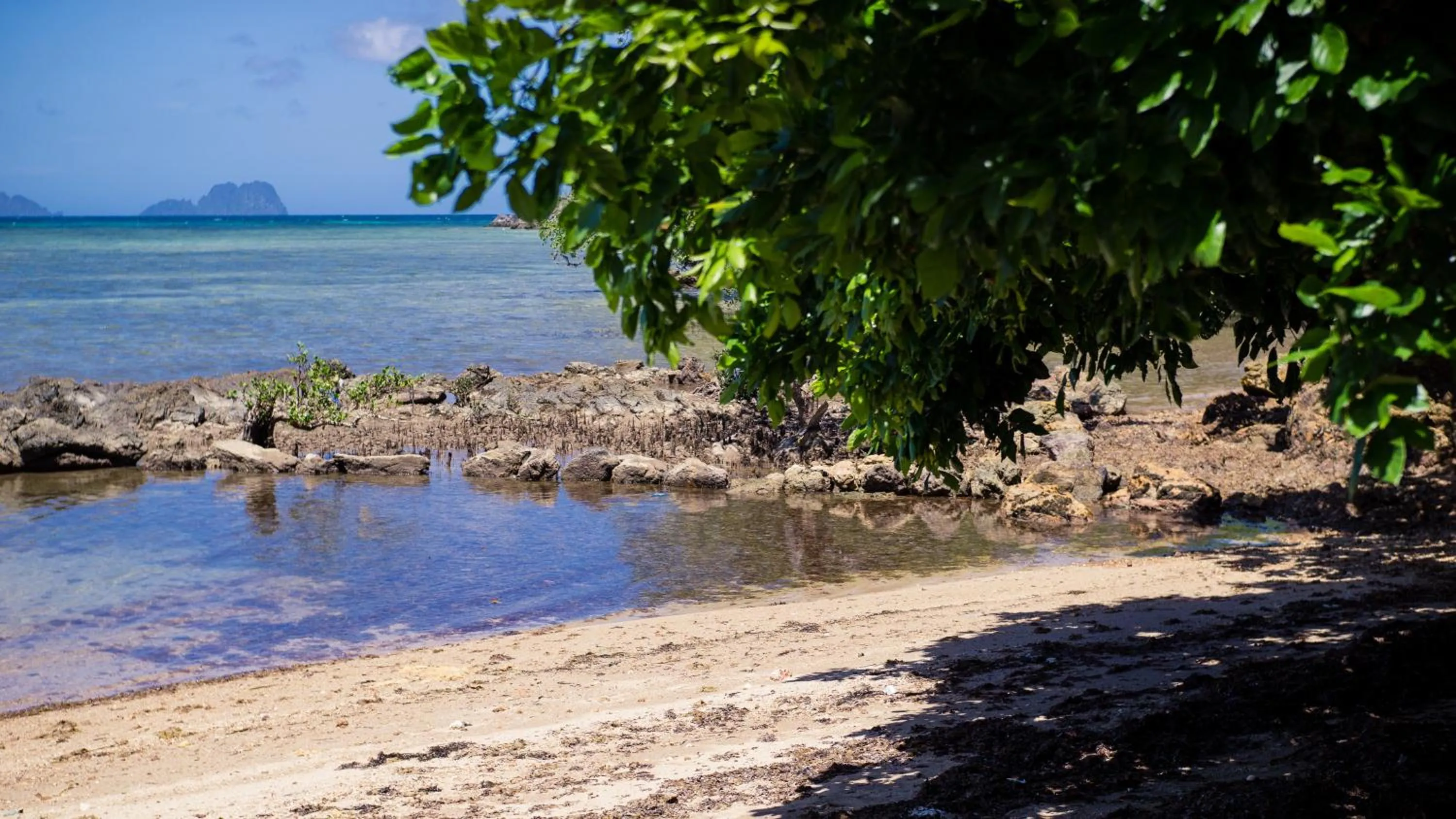 Natural landscape in The Dream Beach Resort