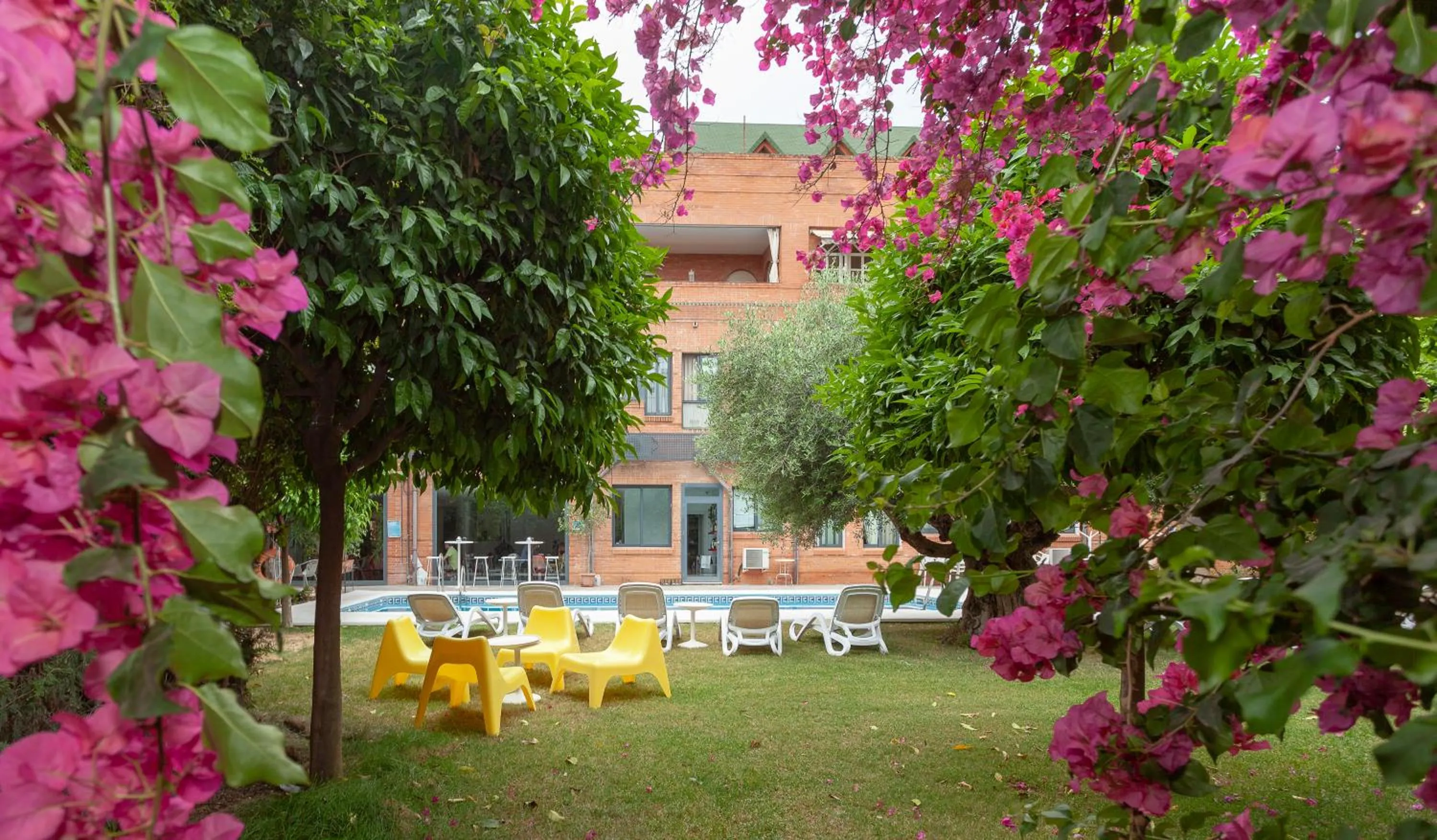Swimming pool in AACR Hotel Monteolivos