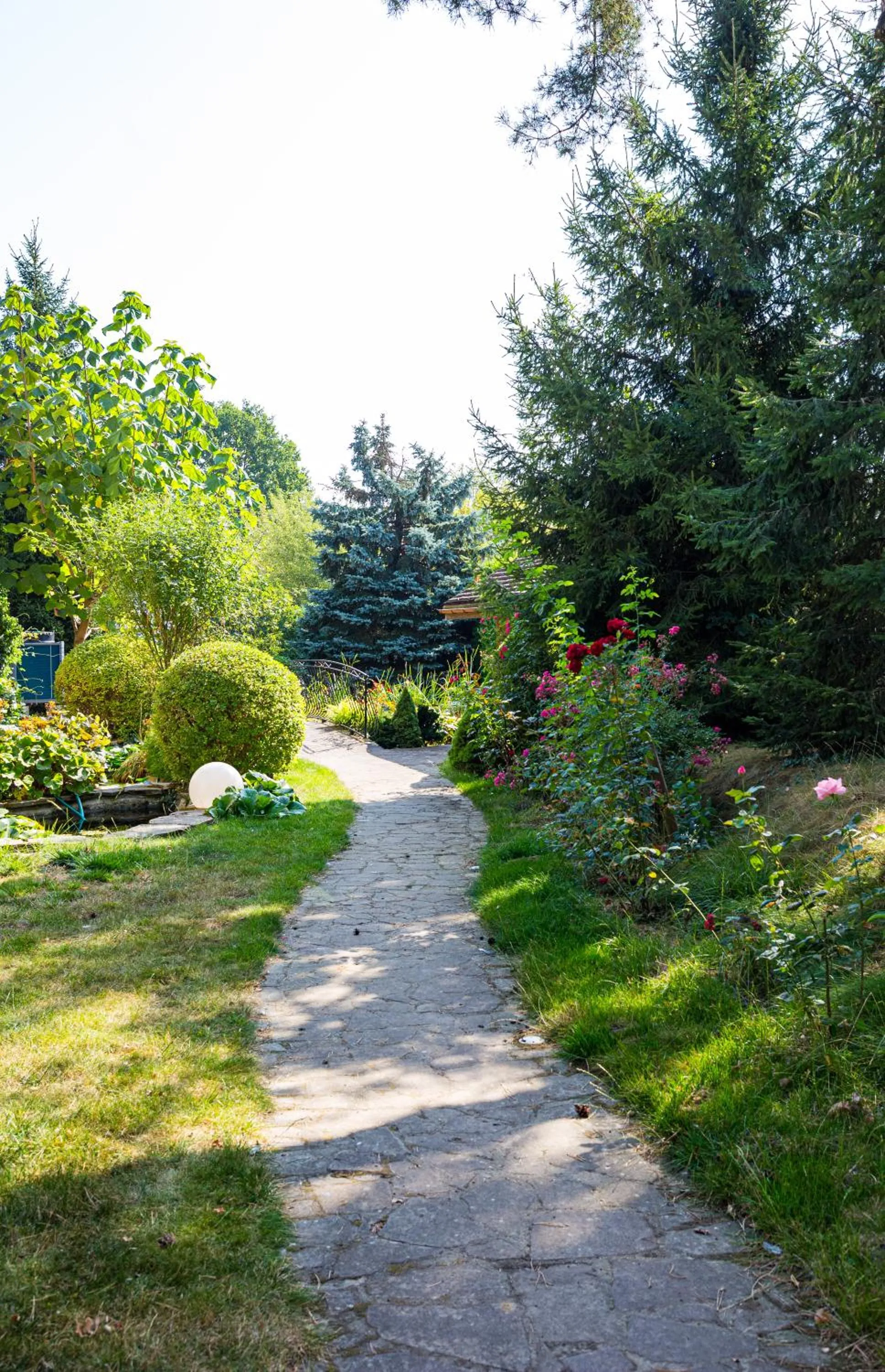 Garden in W Krainie Alicji