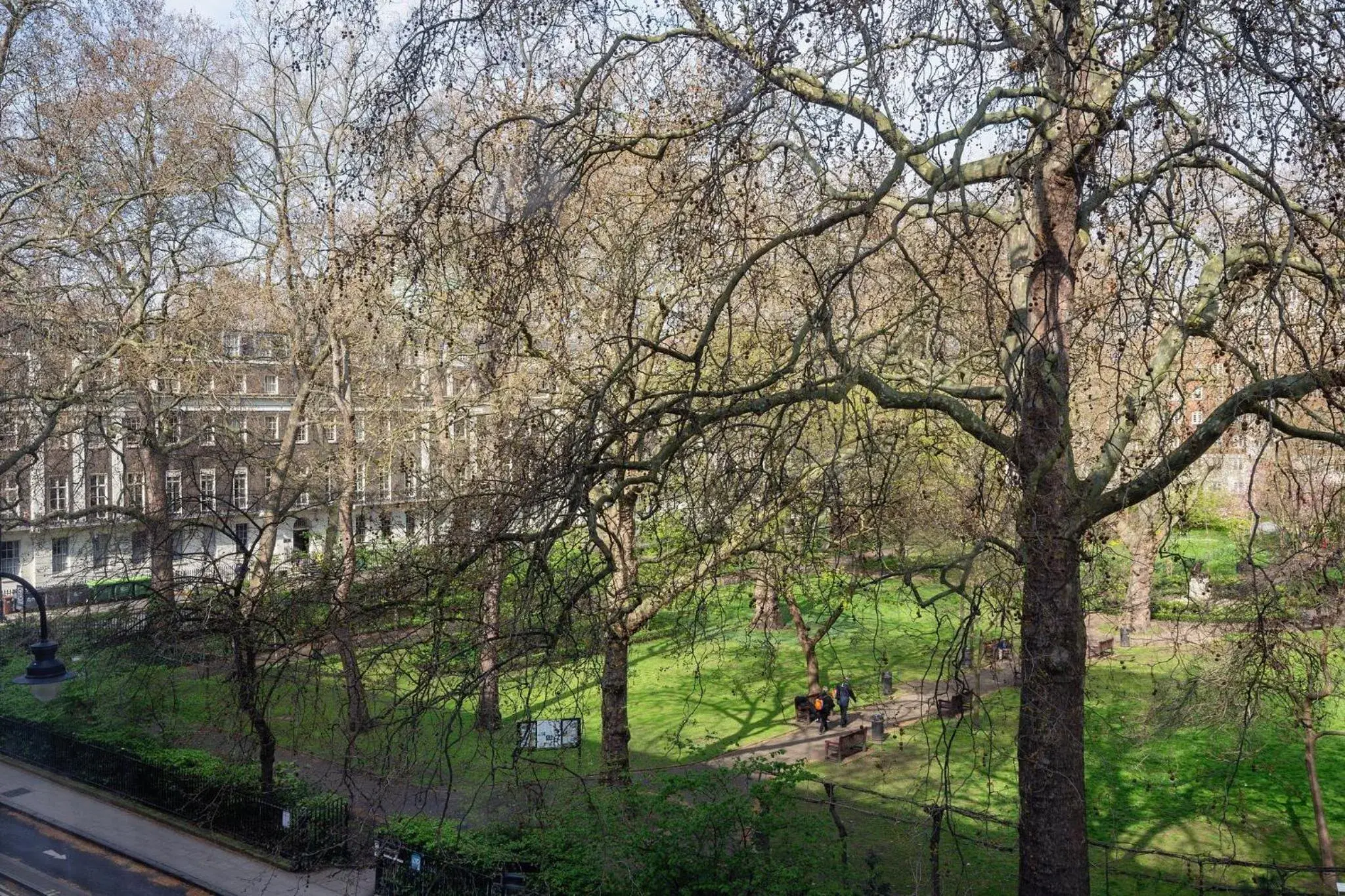 Garden view in Tavistock Hotel Garden view in Tavistock Hotel