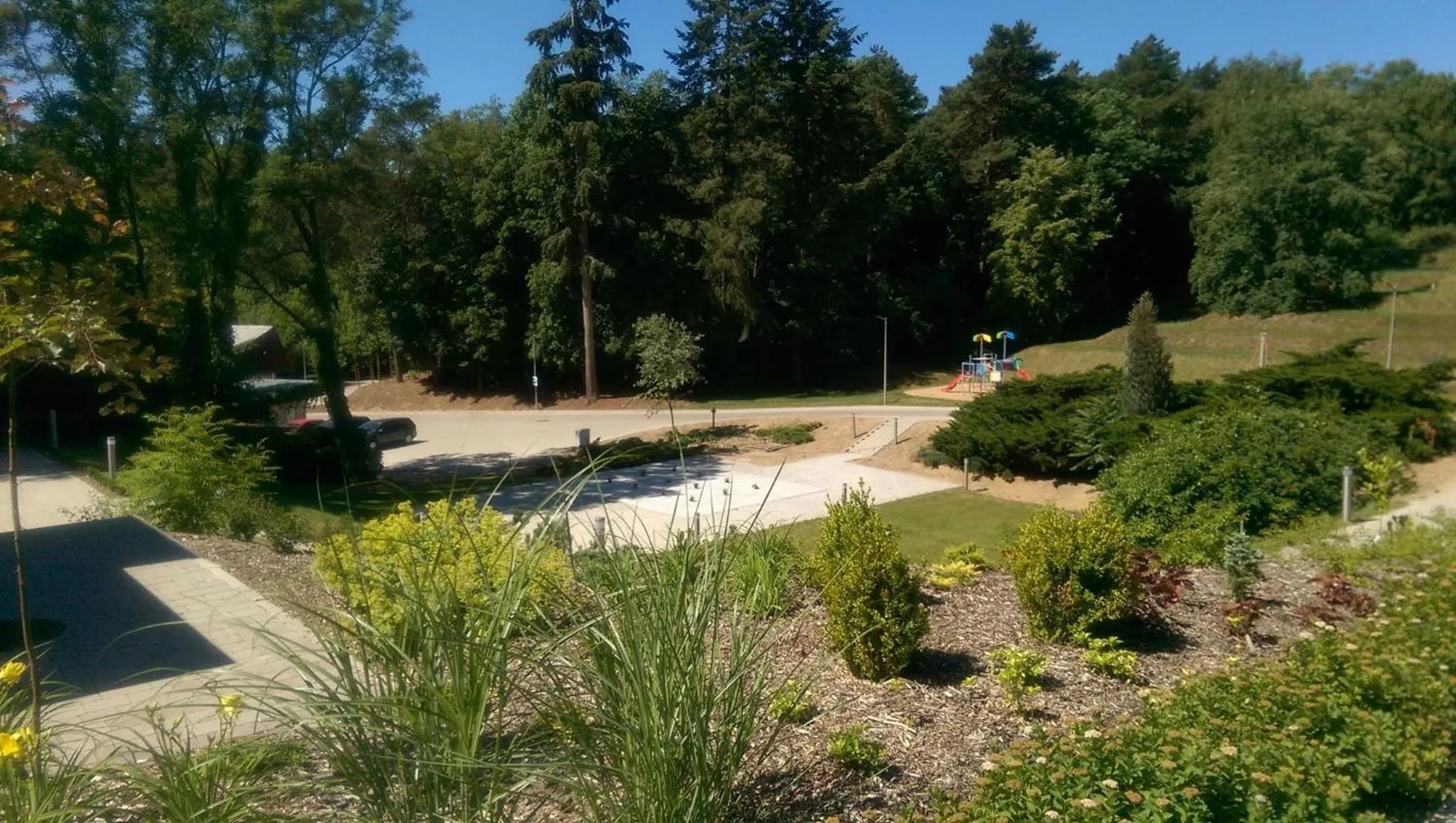 Natural landscape in Wielspin Puszczykowo