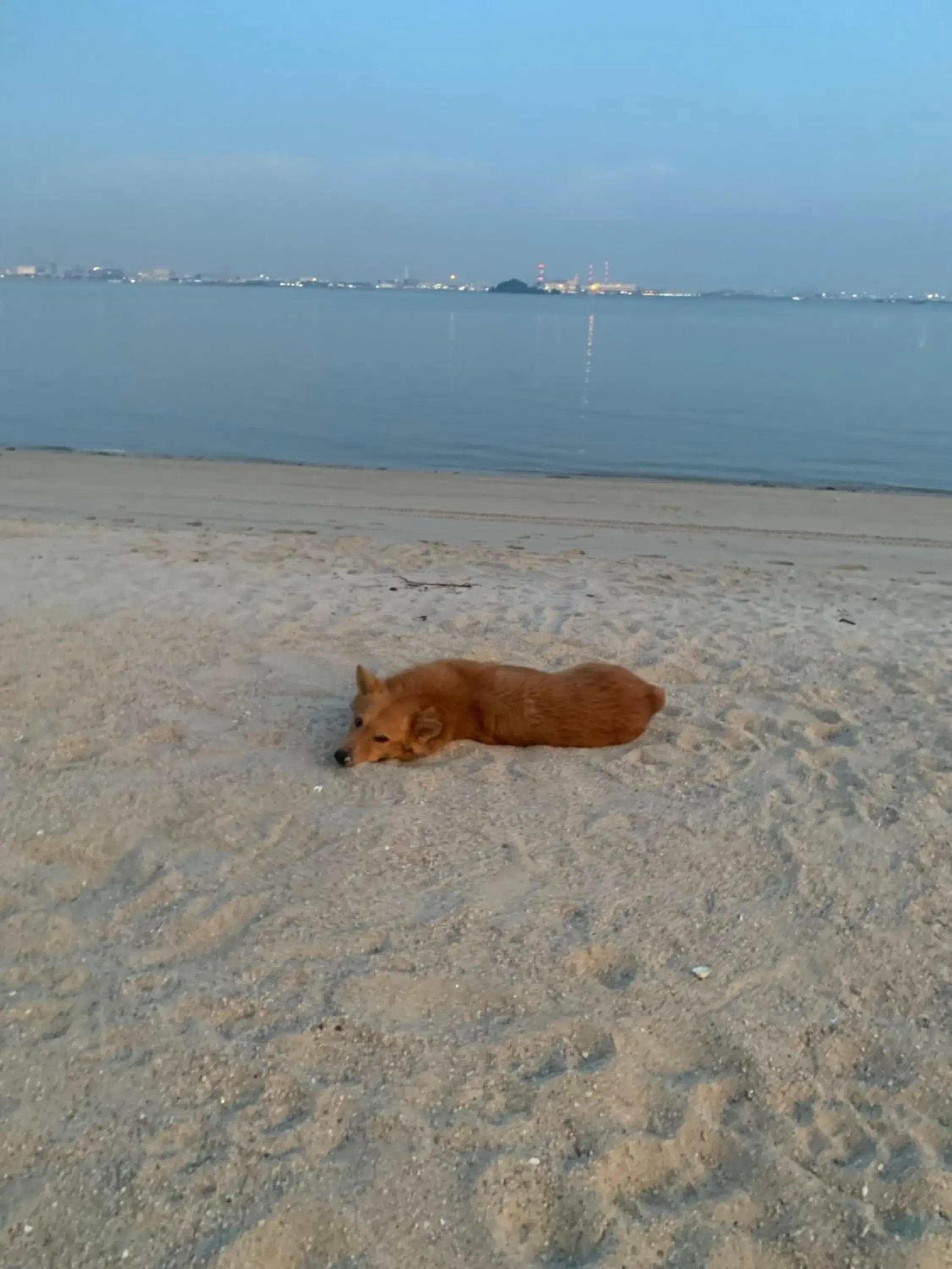 Beach in Sea view 2 bedroom Fully furnished Apartment Forest City Starview Bay Johor Malaysia Beach in Sea view 2 bedroom Fully furnished Apartment Forest City Starview Bay Johor Malaysia