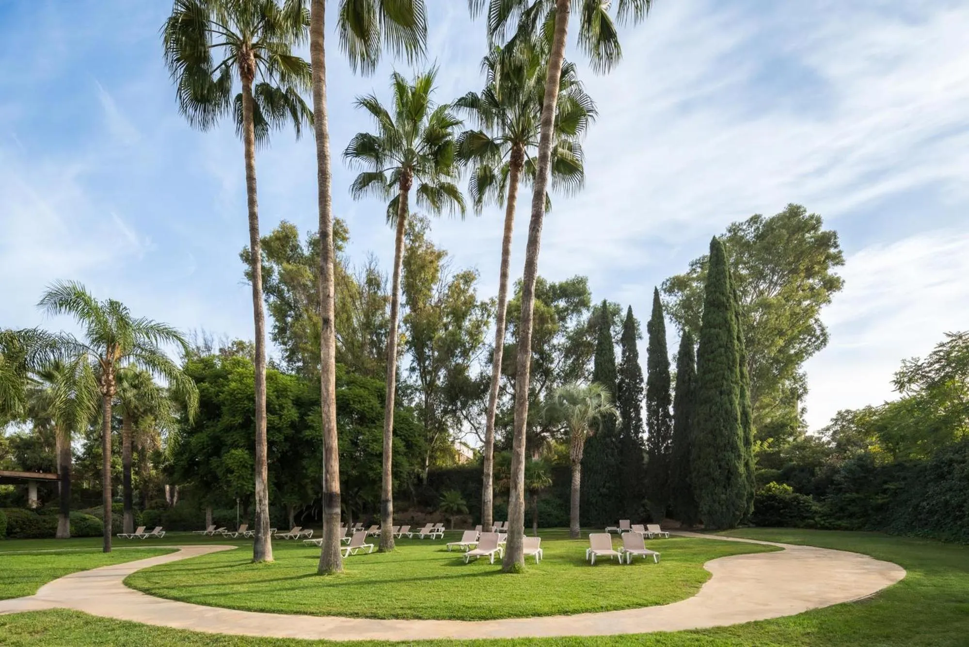 Natural landscape in Eurostars Al-Ándalus Palace