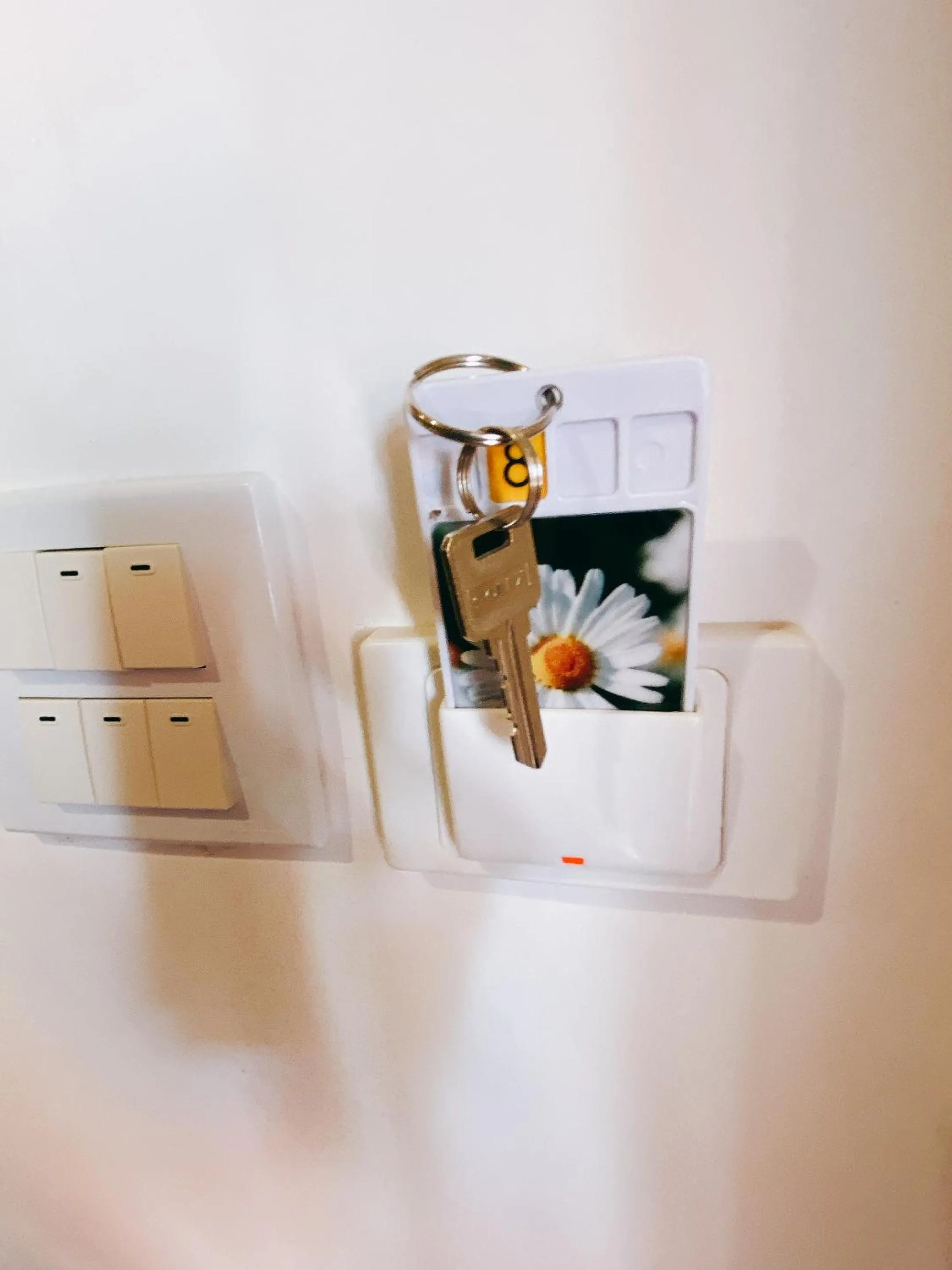 Area and facilities in Opera Premier Hotel