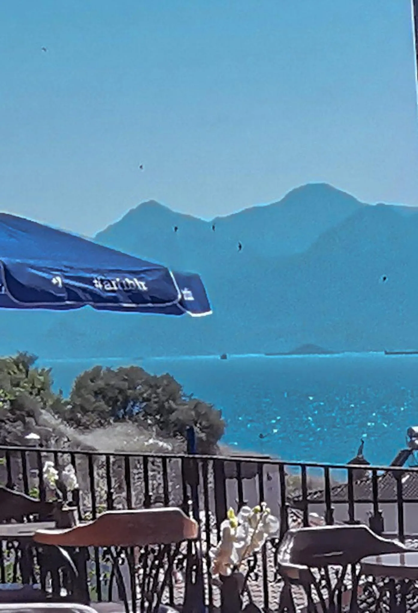 Balcony/Terrace in Goodman Hotel & Bistro