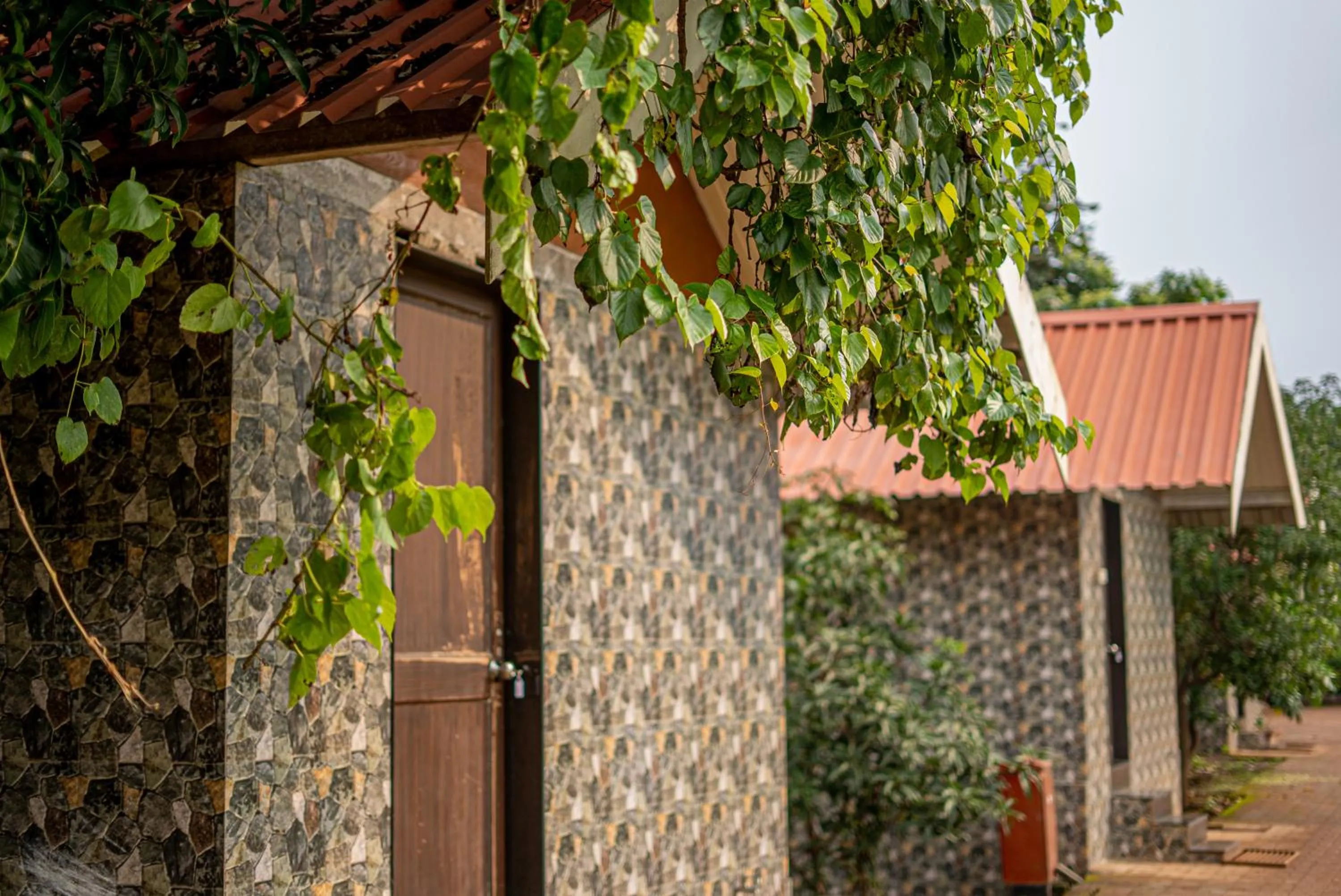 Property building in Shvas Island Resort
