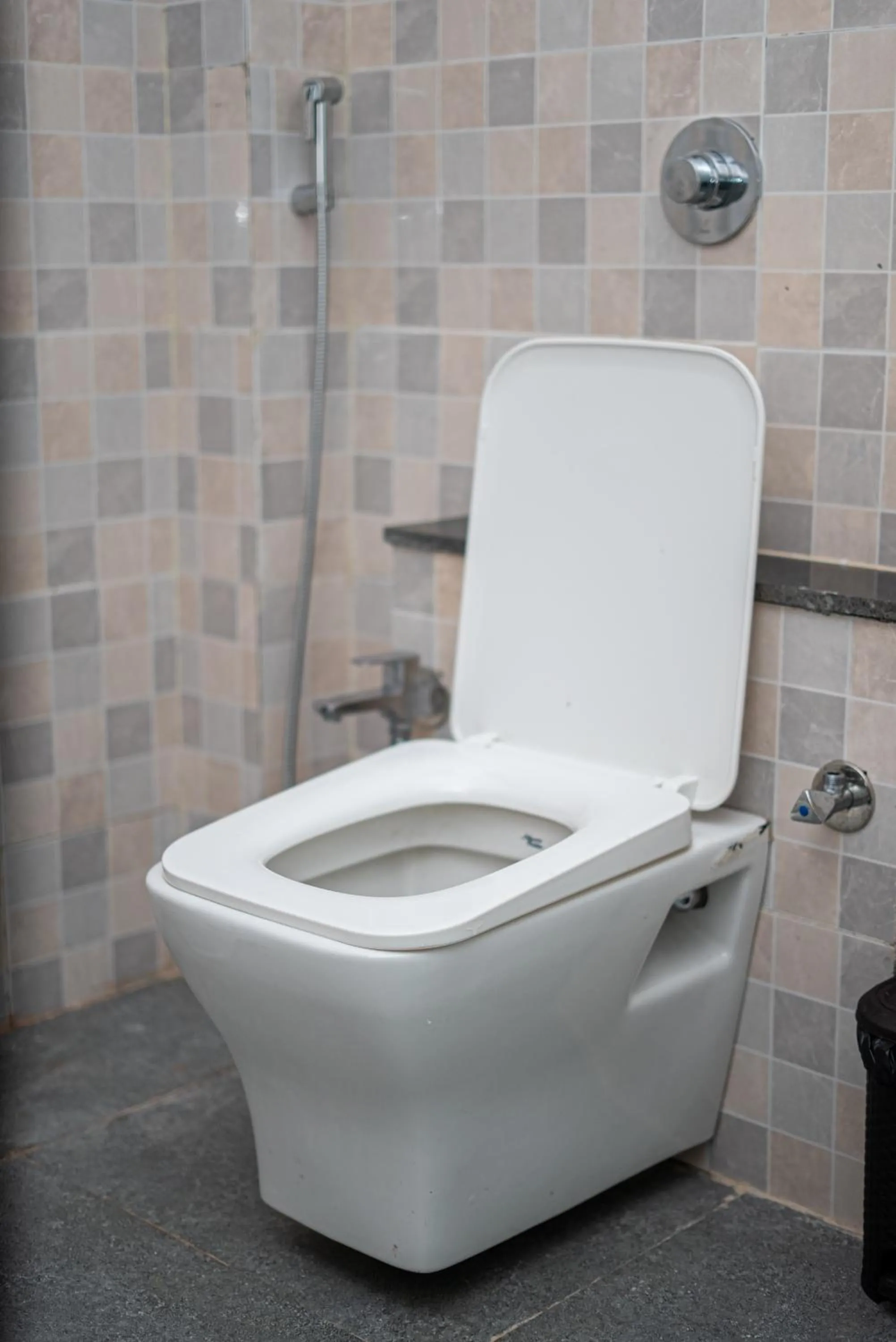 Toilet in Shvas Island Resort