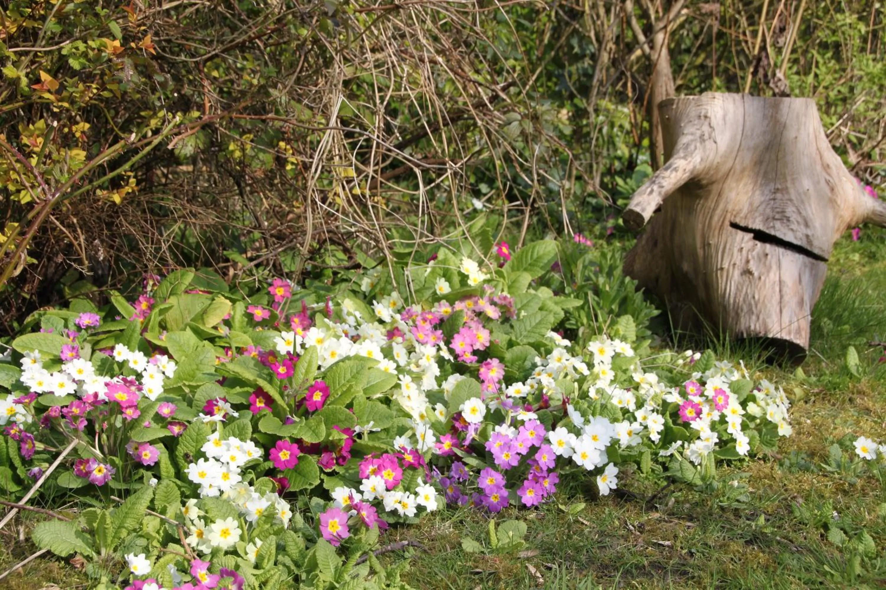 Garden view in Monts et Merveilles