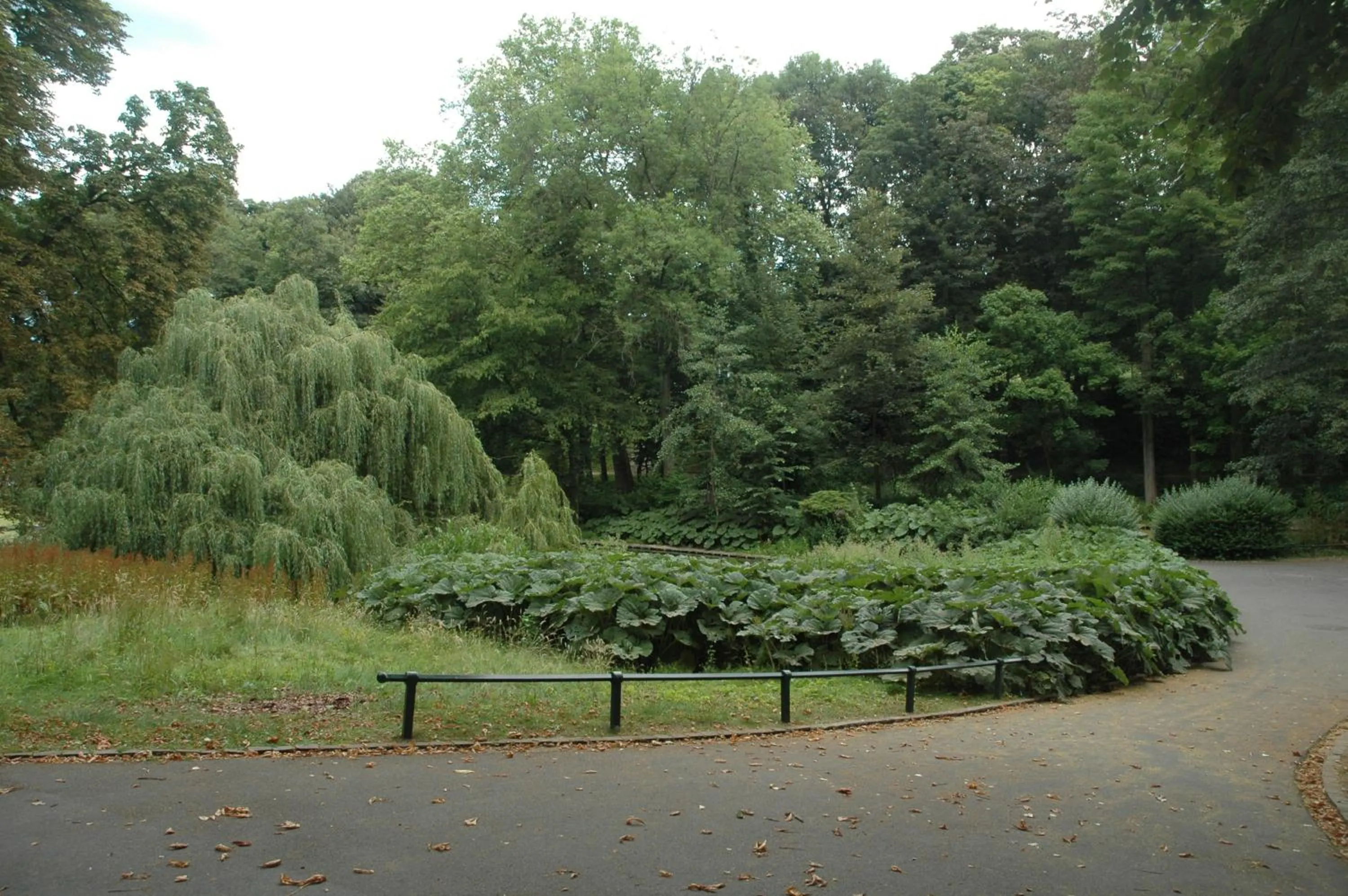 Area and facilities in B&B Avenue Deschanel