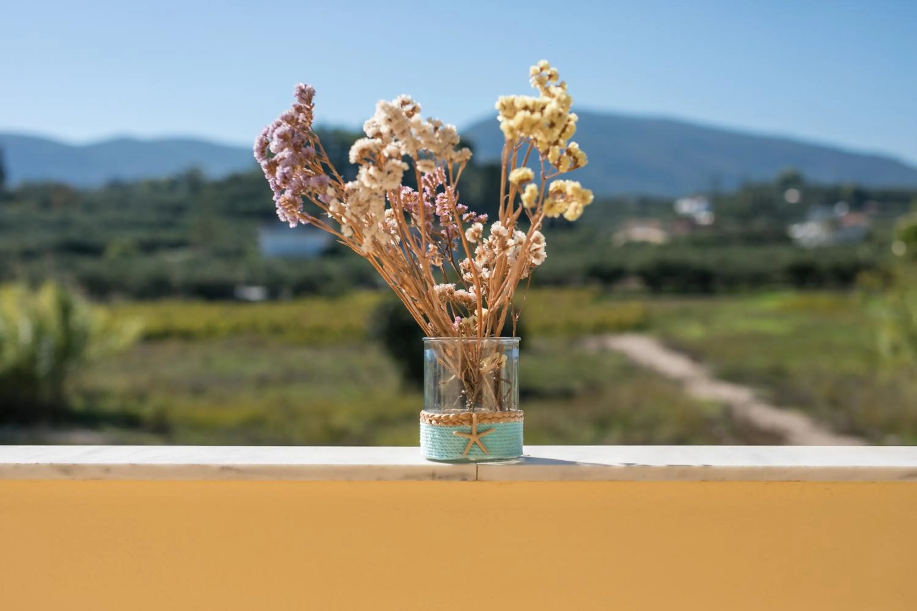 Decorative detail in Club Zante Plaza