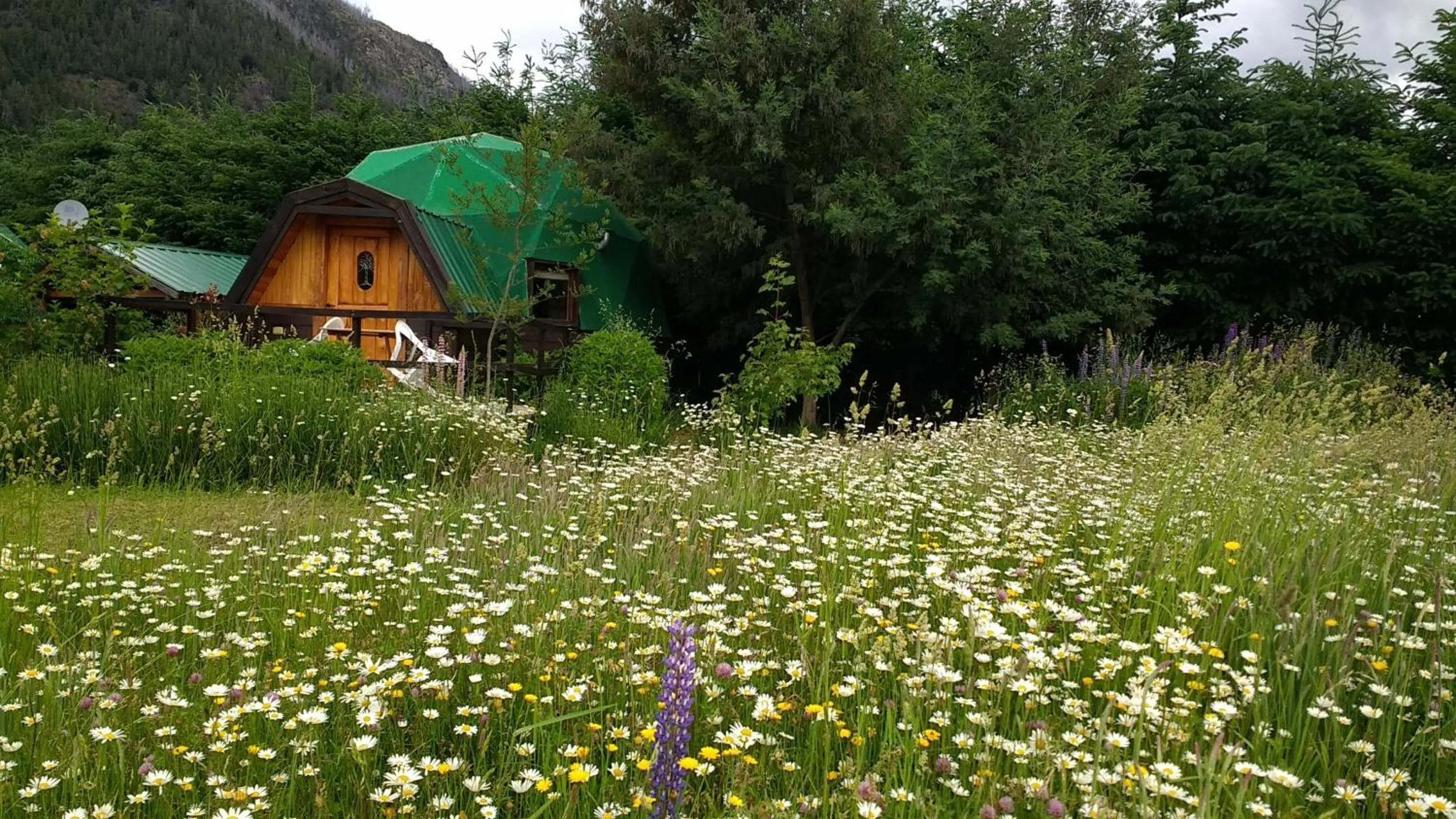 Garden in Domos Puelo