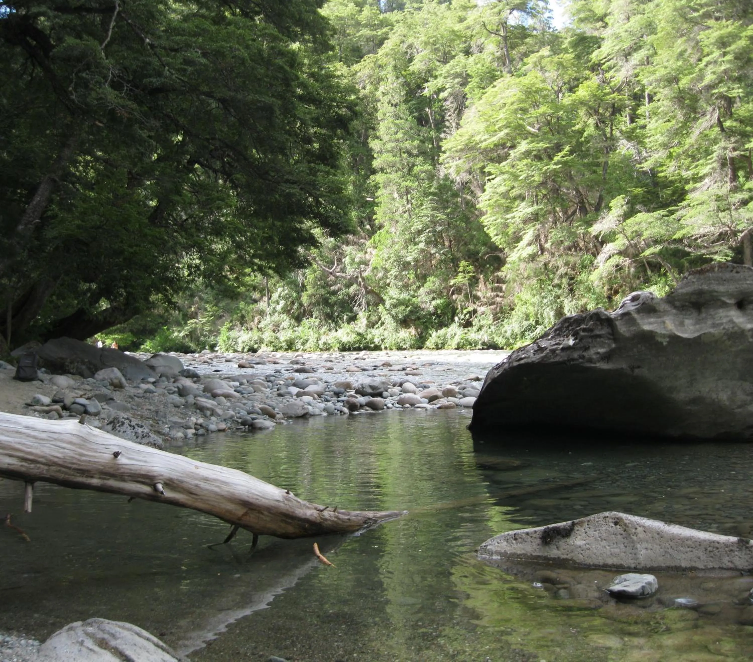 Natural landscape in Domos Puelo