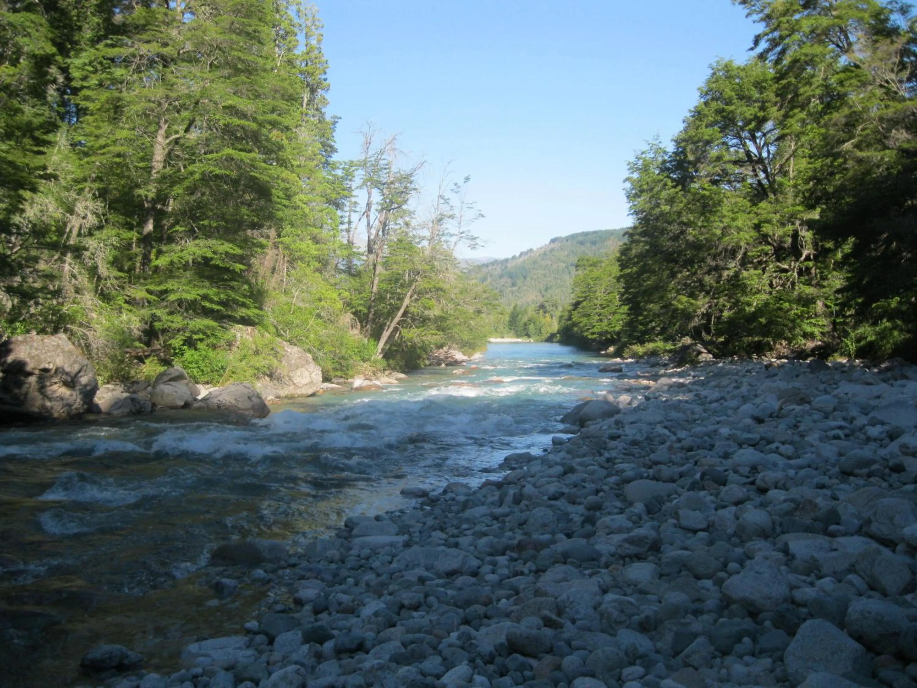 Natural landscape in Domos Puelo