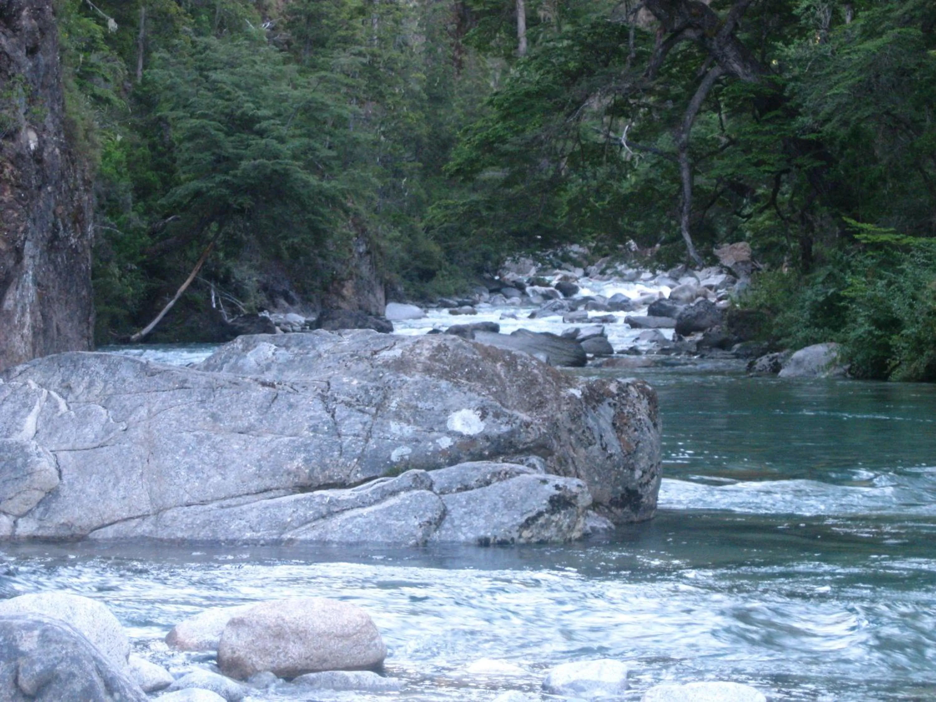 Natural landscape in Domos Puelo