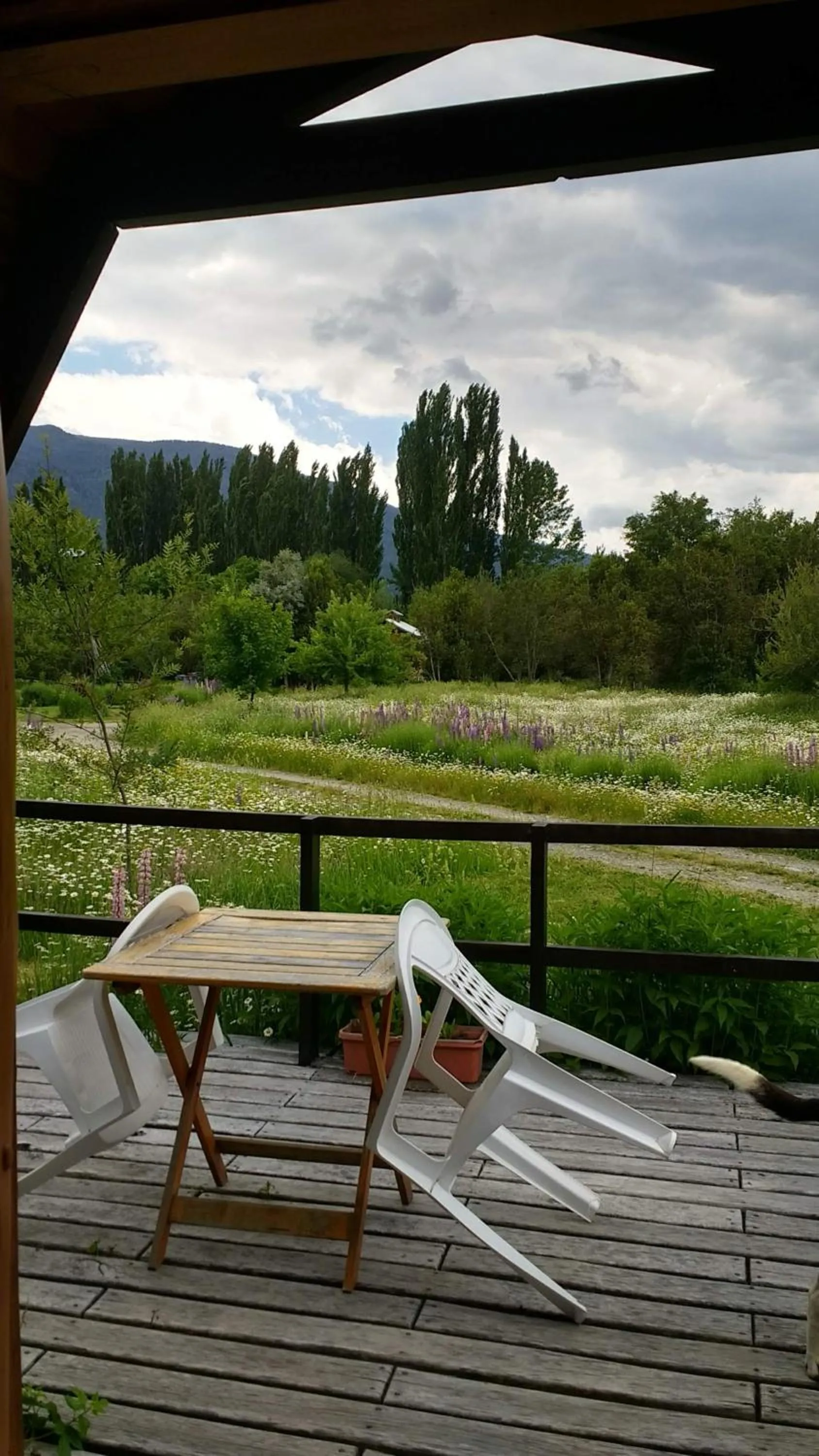 Garden in Domos Puelo