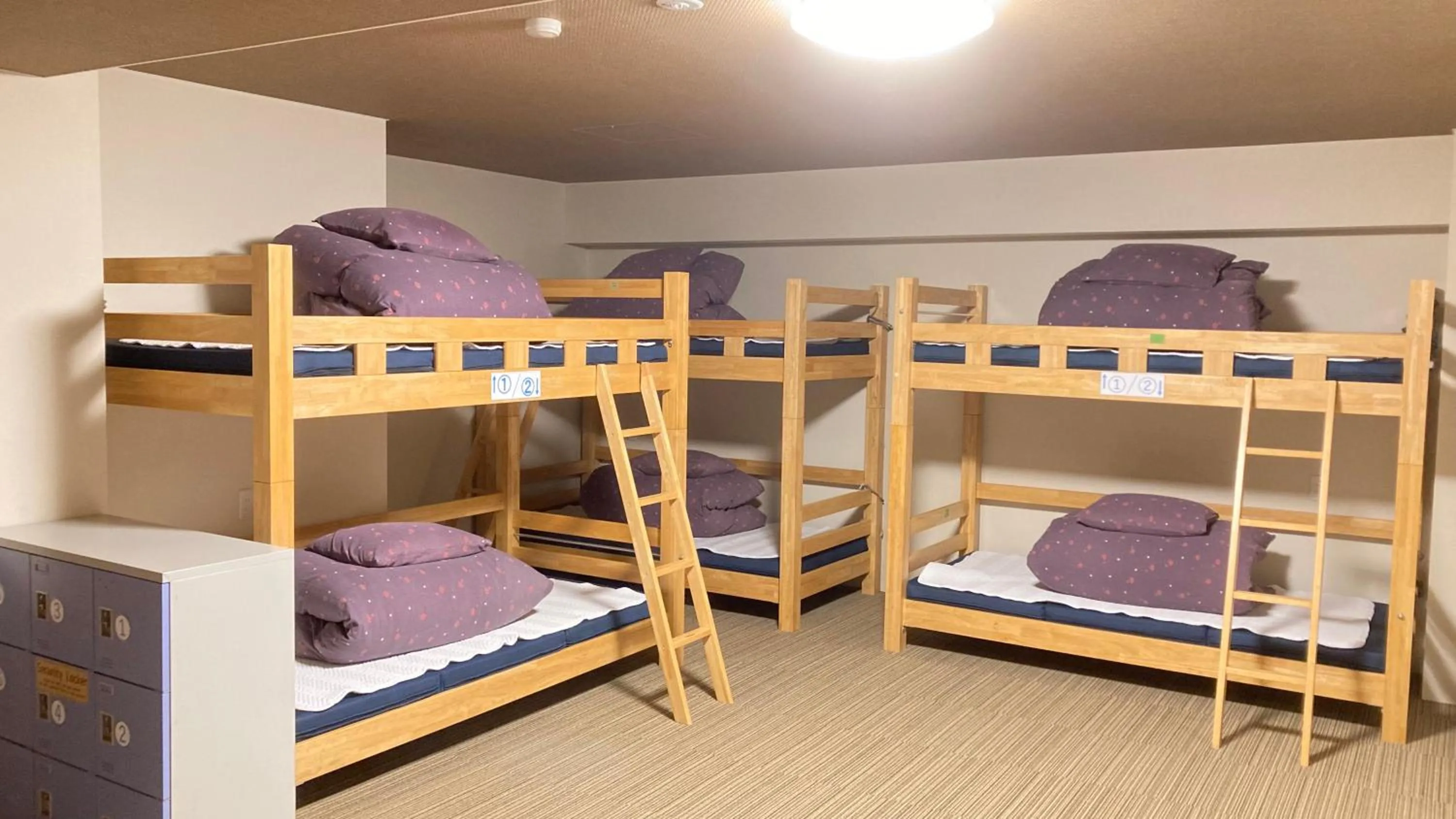 Photo of the whole room, Bed in K's House Nikko - Kinugawa Onsen Hostel