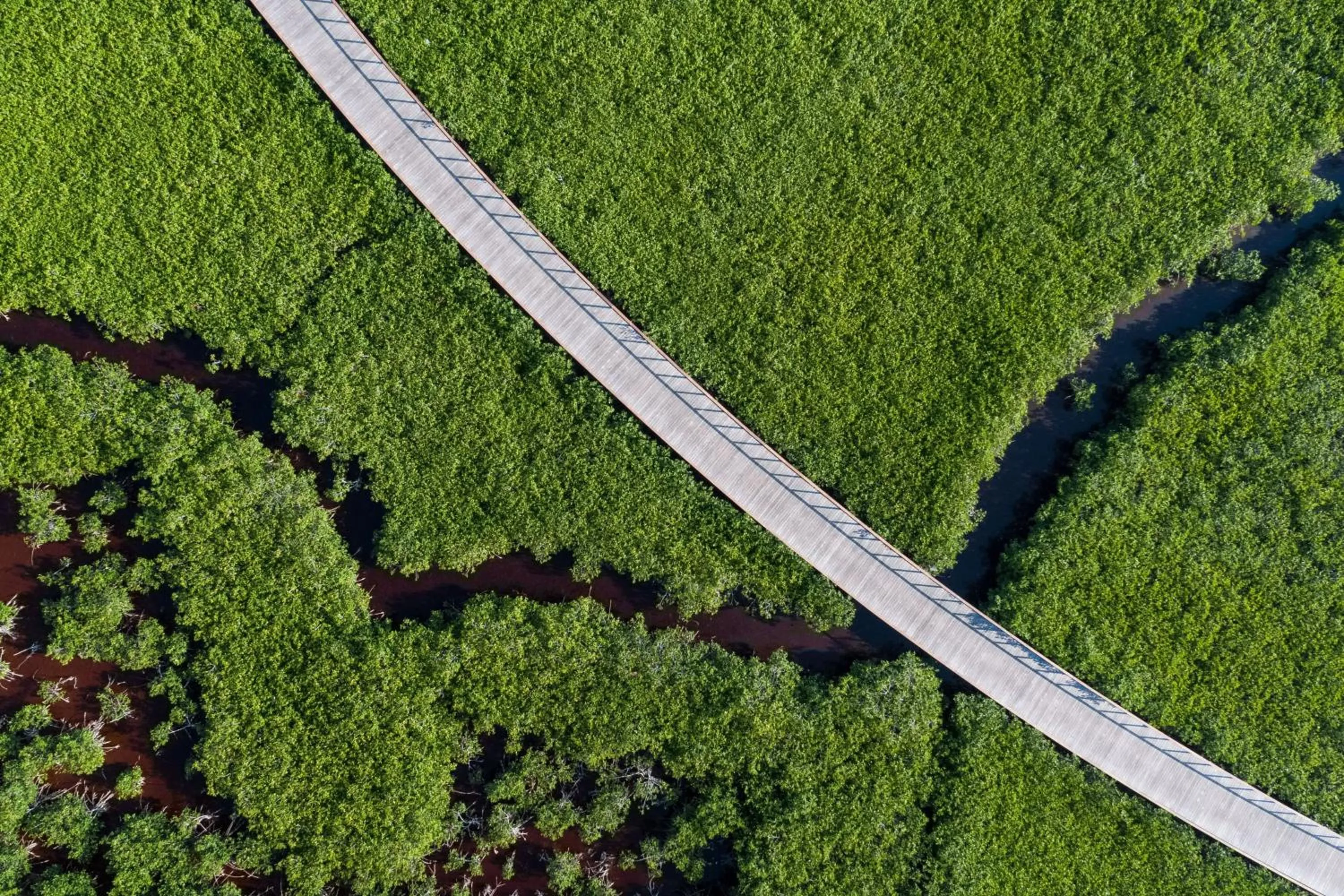View (from property/room) in The St. Regis Kanai Resort, Riviera Maya