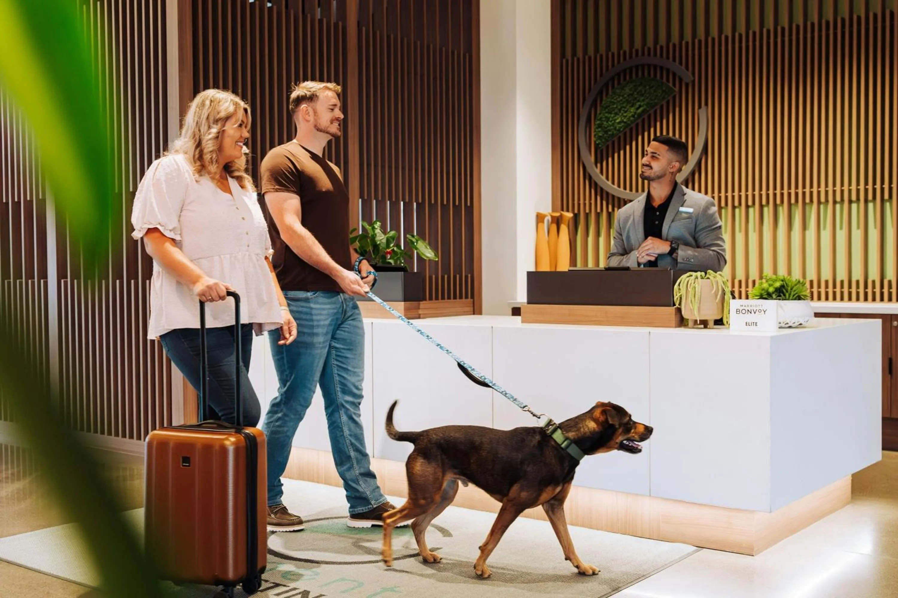 View (from property/room) in Element Reno Experience District