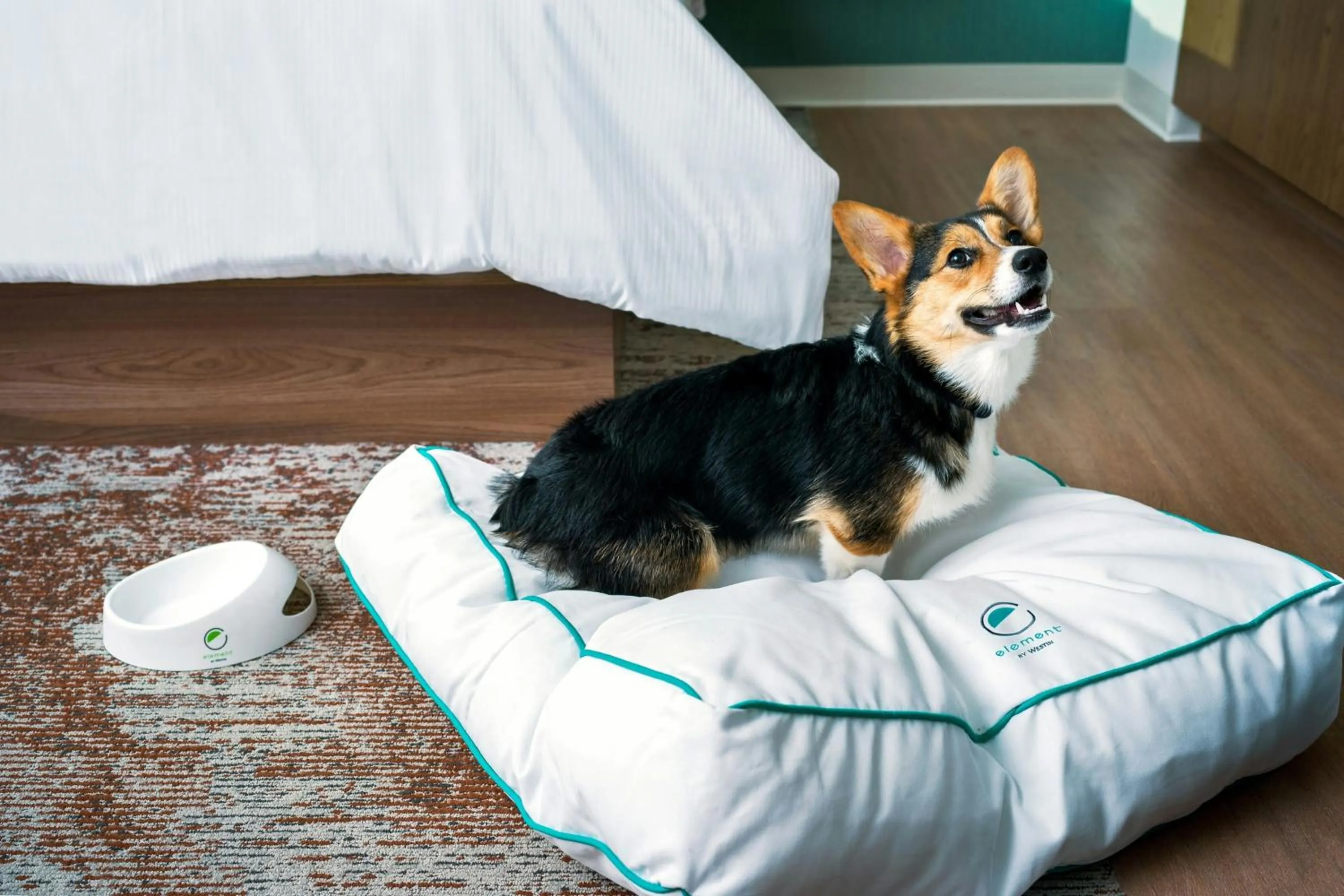 Other in Element Reno Experience District