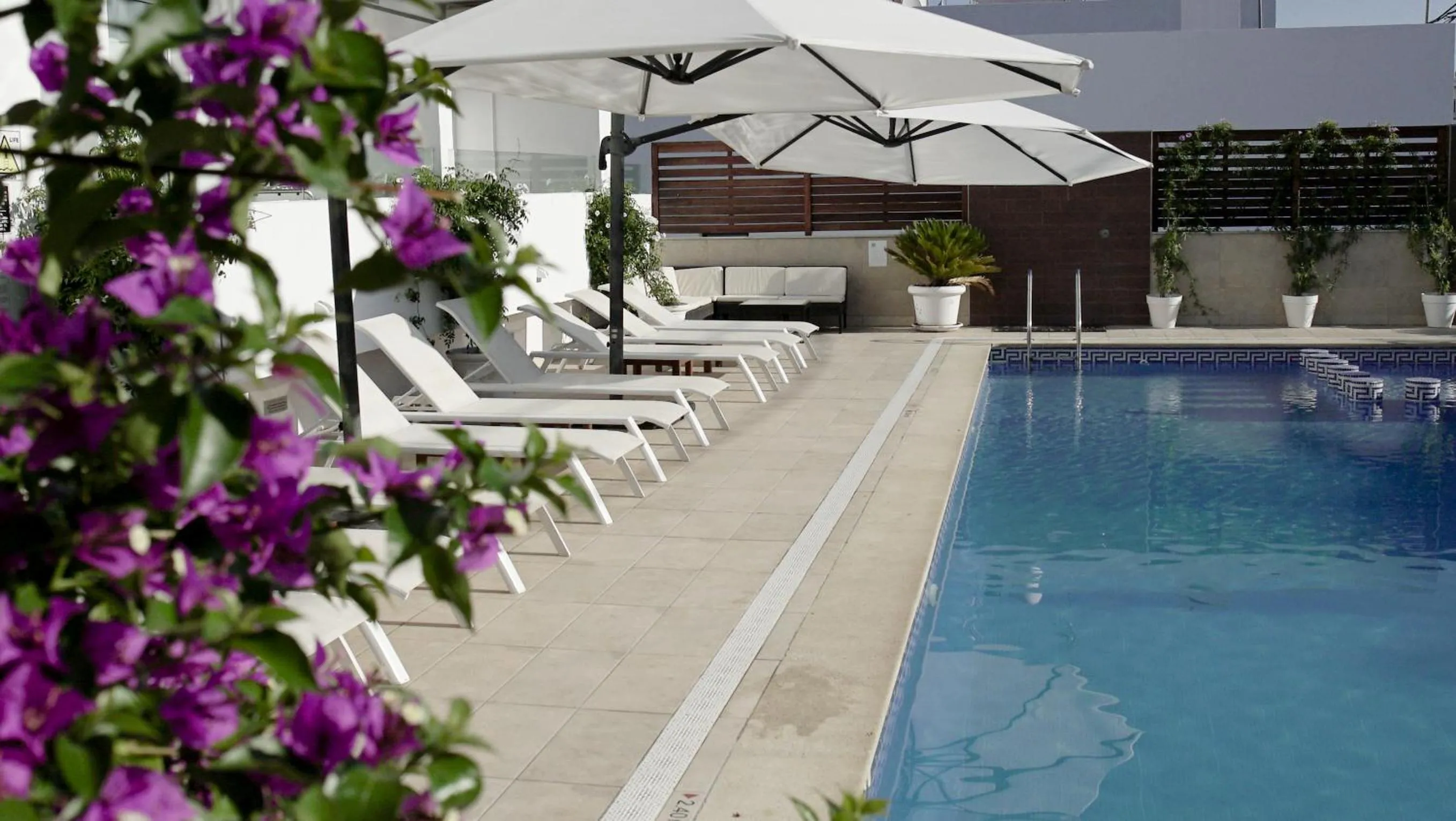 Swimming pool in Aparthotel Fleming 50 - Adults Only