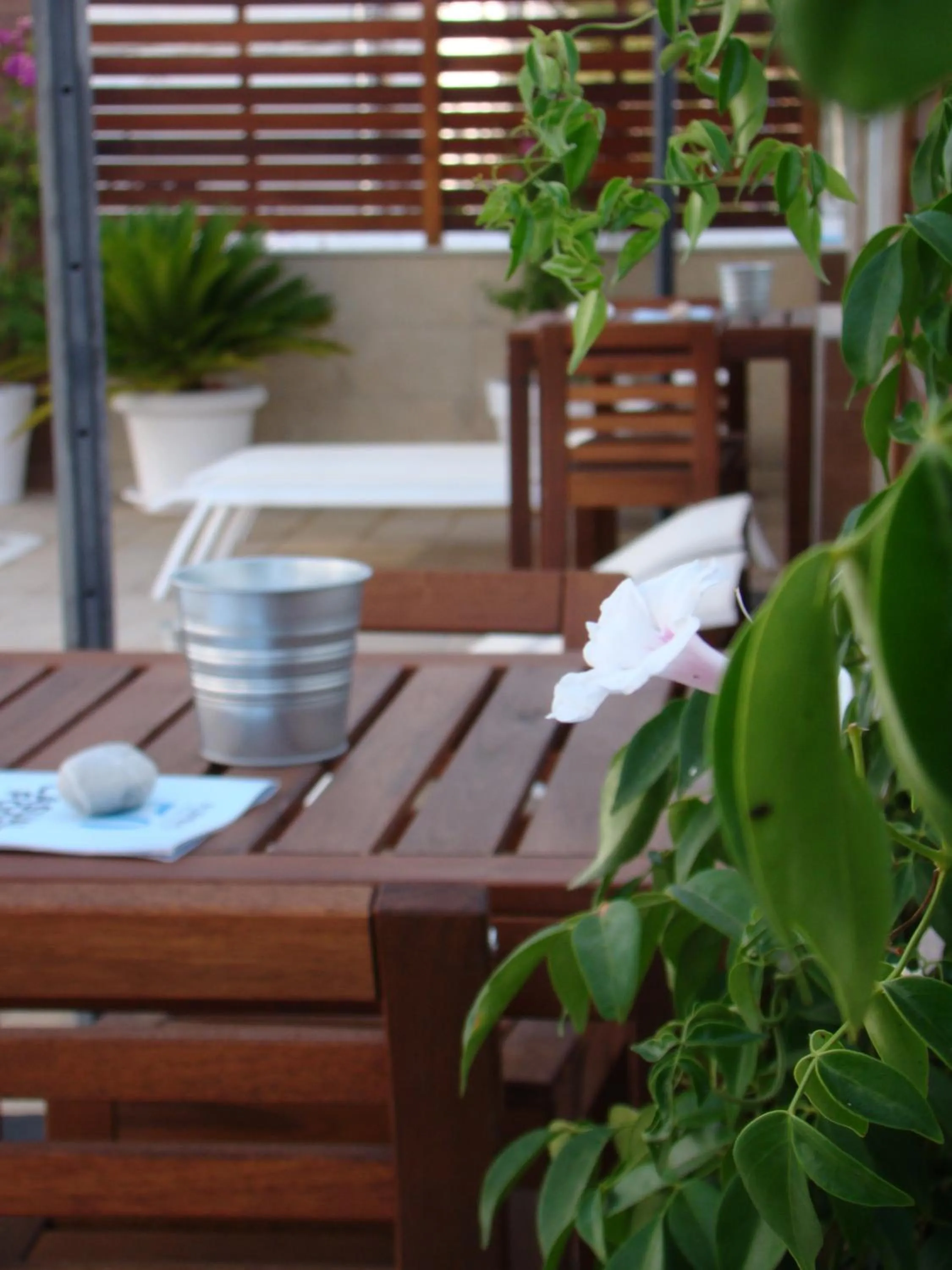 Patio in Aparthotel Fleming 50 - Adults Only