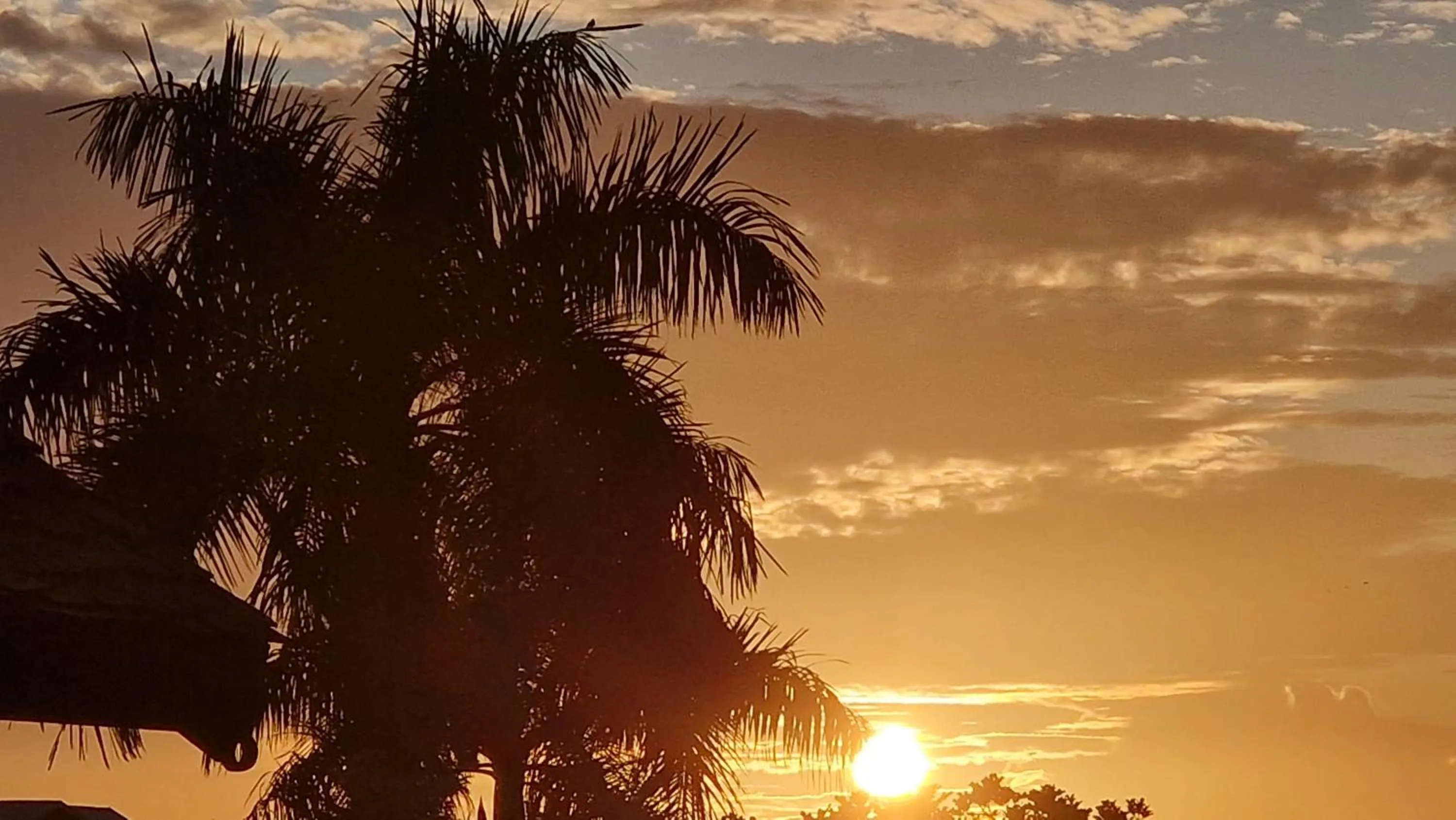 Natural landscape in Greenheart Boutique Hotel