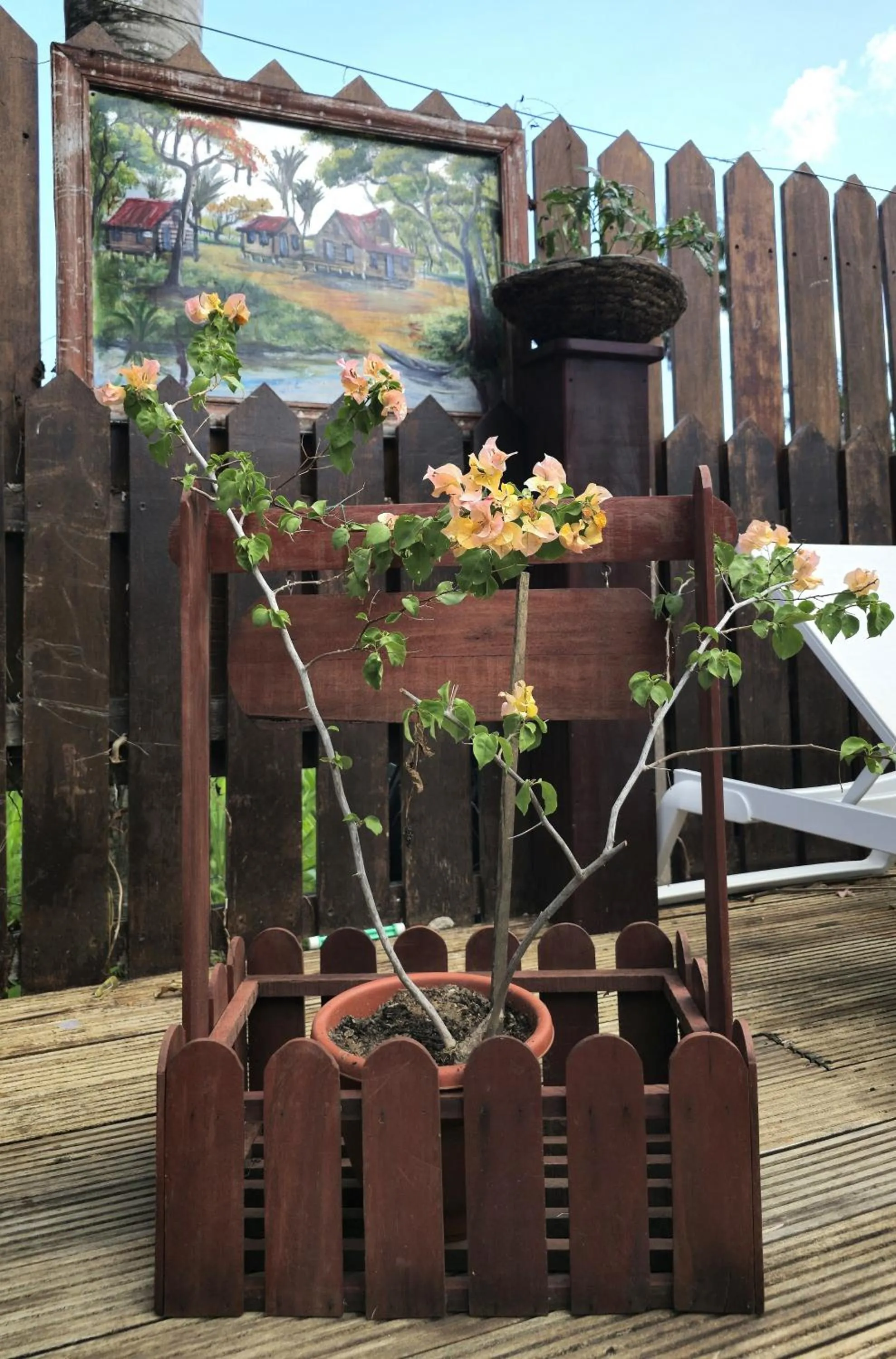 Natural landscape in Greenheart Boutique Hotel