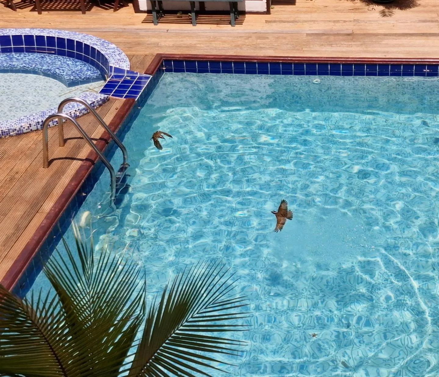Swimming pool in Greenheart Boutique Hotel