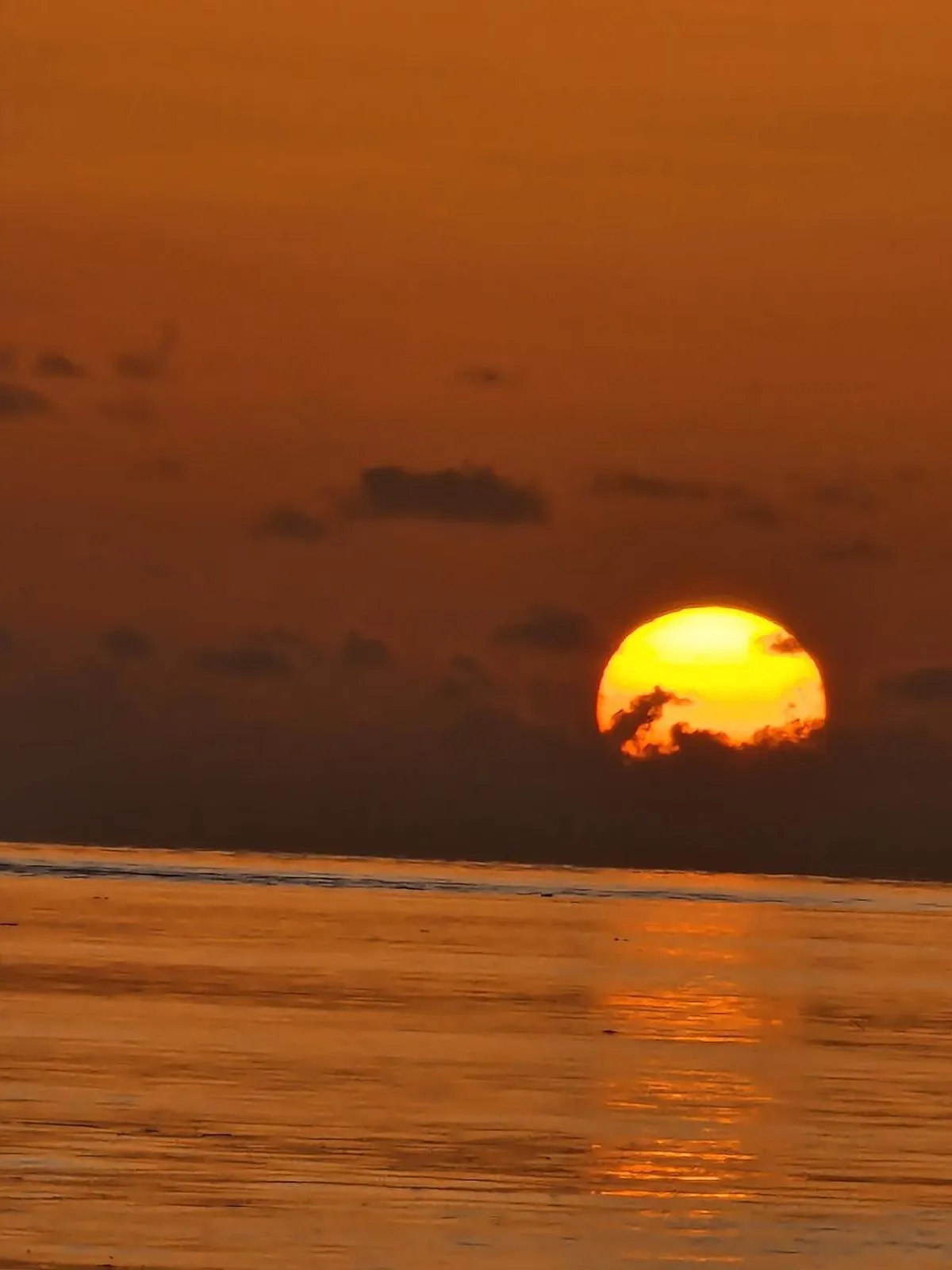 Natural landscape in Greenheart Boutique Hotel