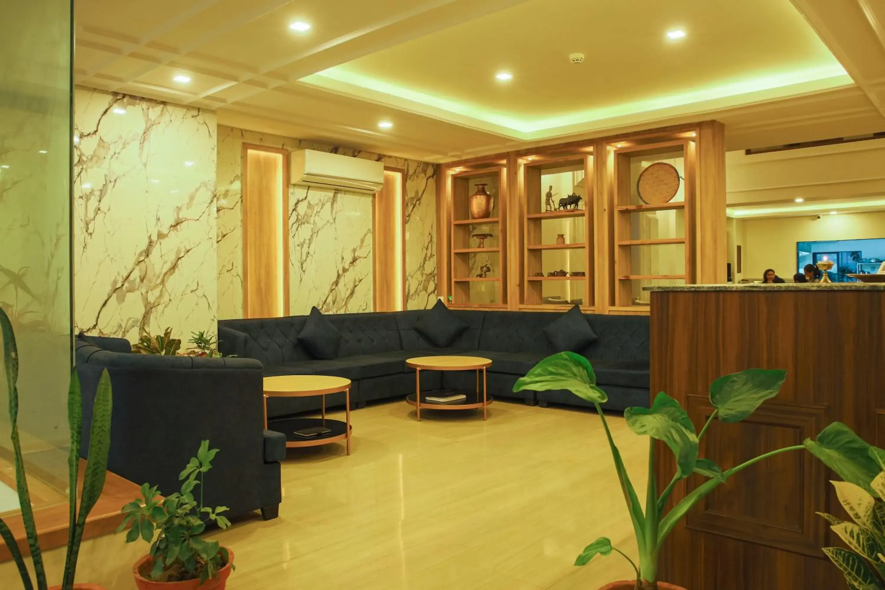 Lobby or reception in Hotel Fewa Trip Lobby or reception in Hotel Fewa Trip