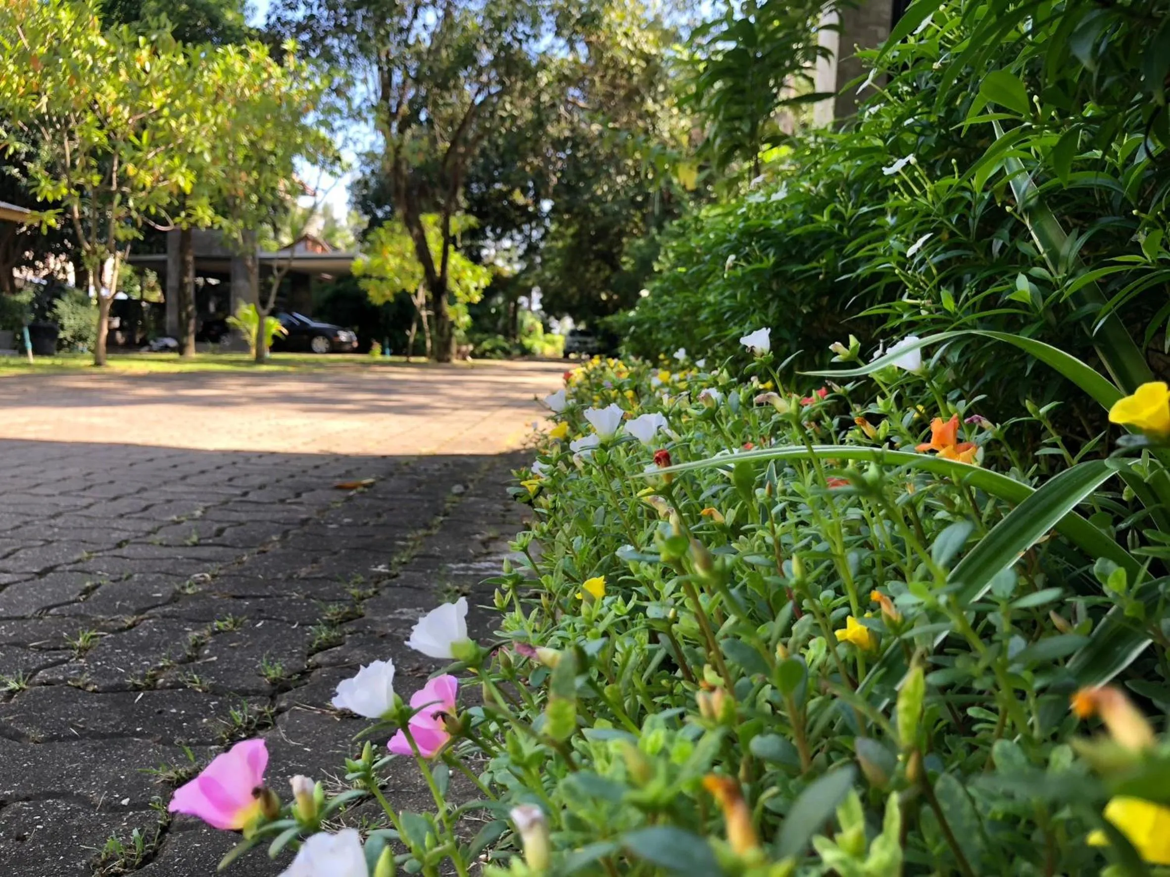 On site in Likita Resort