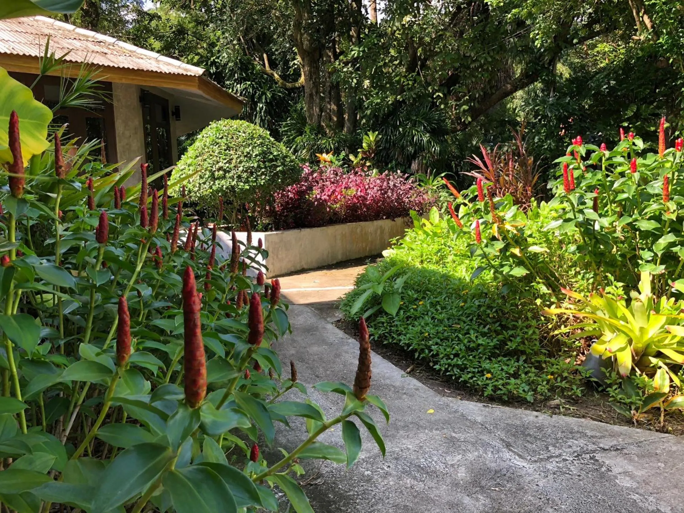 On site in Likita Resort