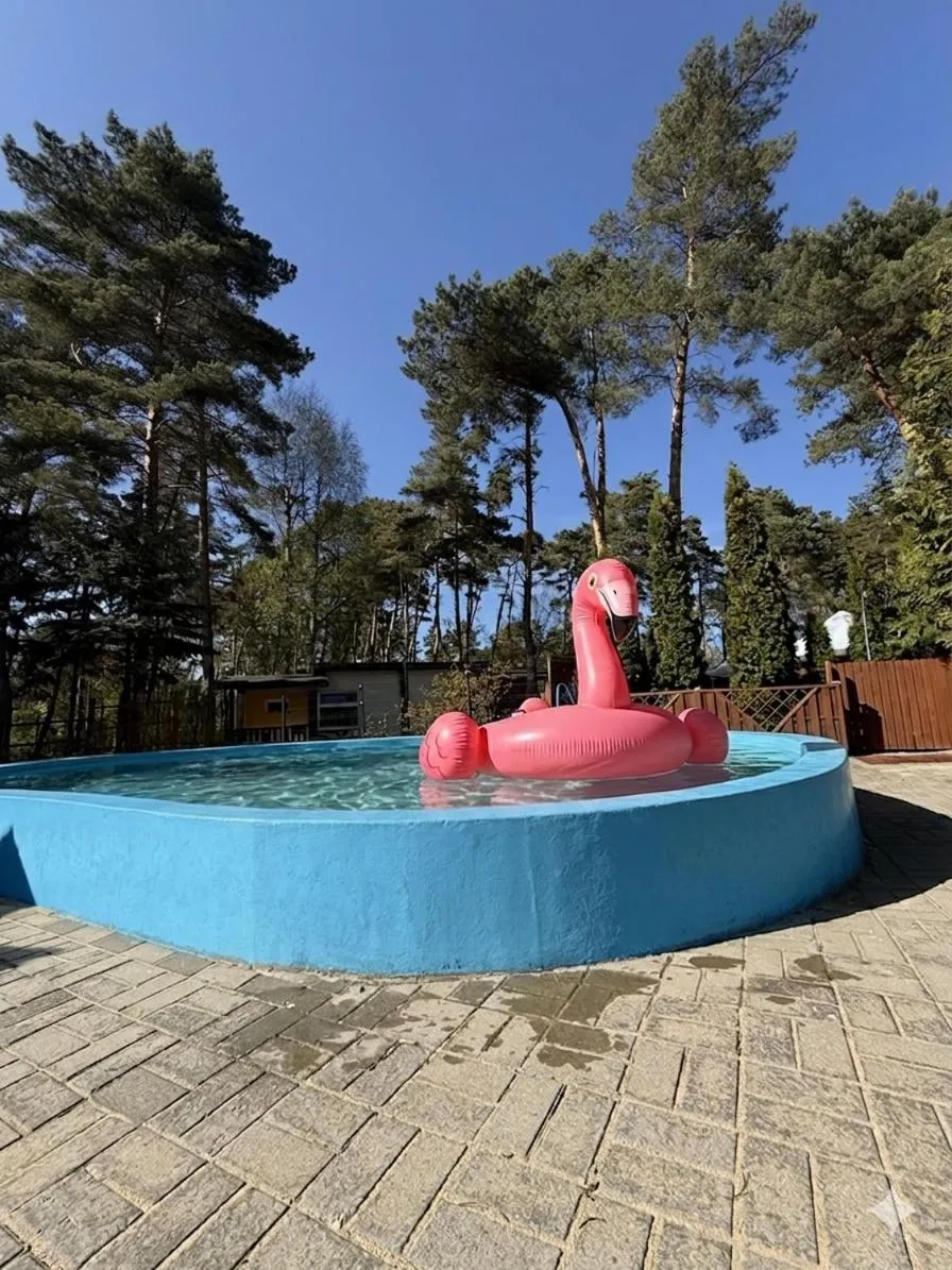 Swimming pool in Ośrodek Wypoczynkowy Jelonek