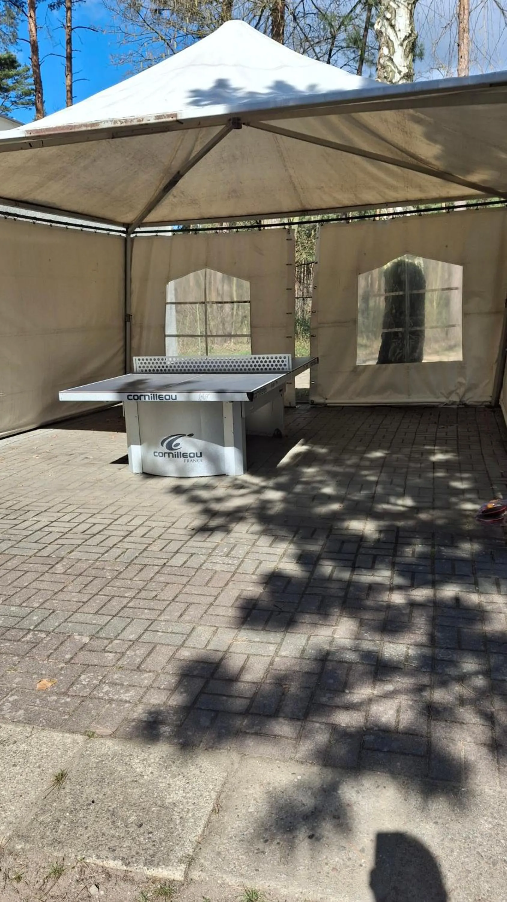 Table tennis in Ośrodek Wypoczynkowy Jelonek
