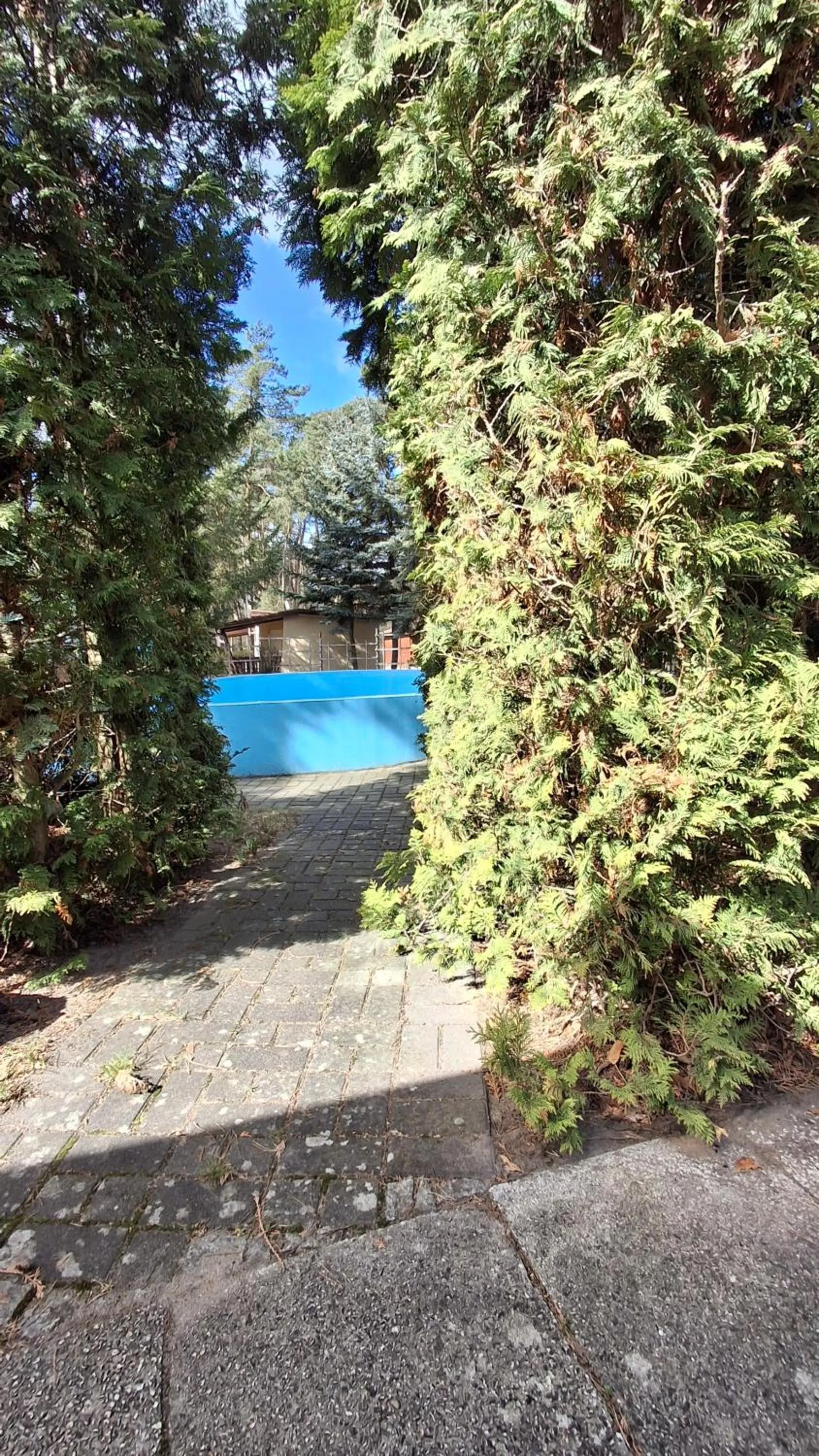 Swimming pool in Ośrodek Wypoczynkowy Jelonek