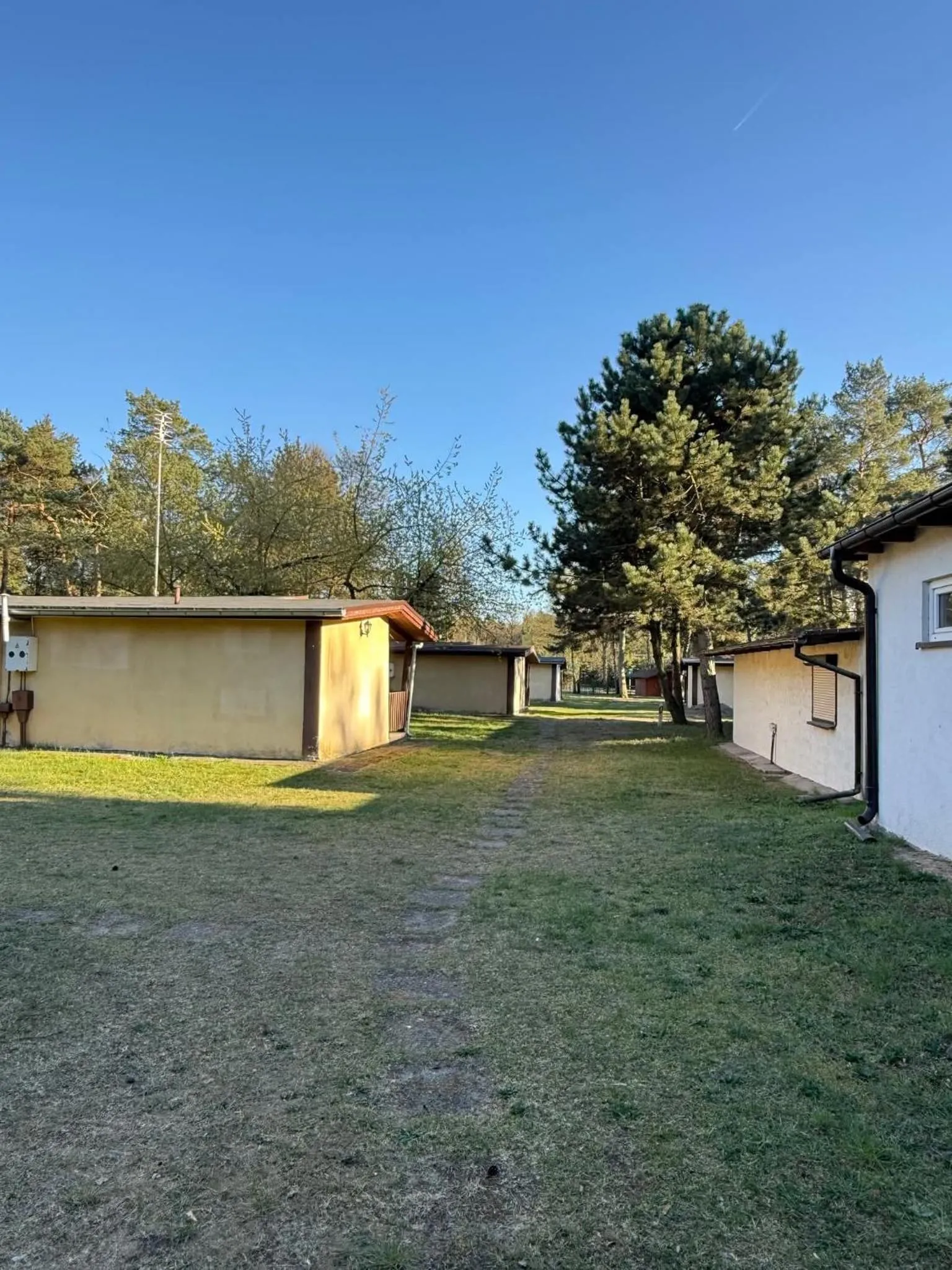 Area and facilities in Ośrodek Wypoczynkowy Jelonek