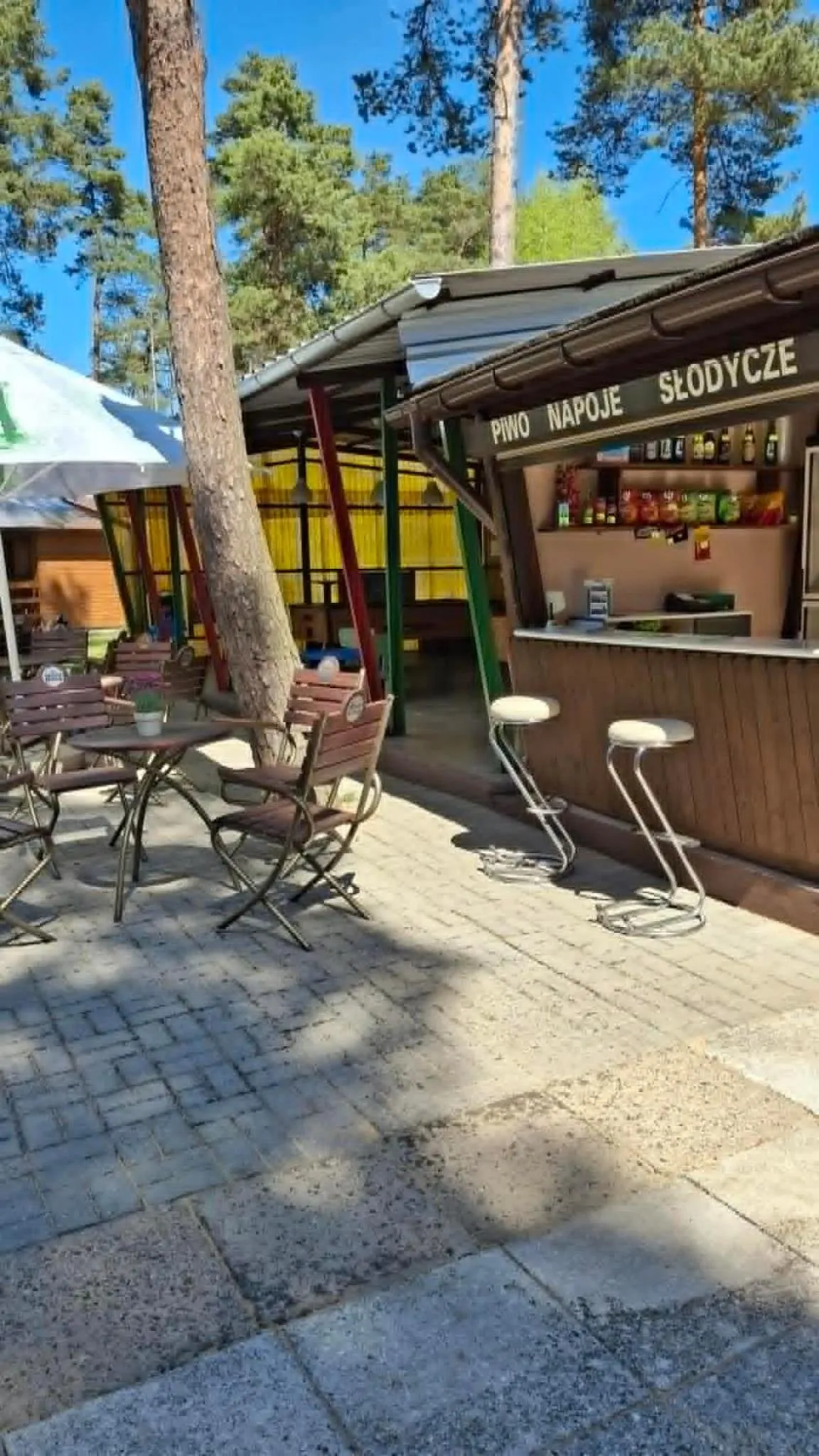 Lounge or bar in Ośrodek Wypoczynkowy Jelonek