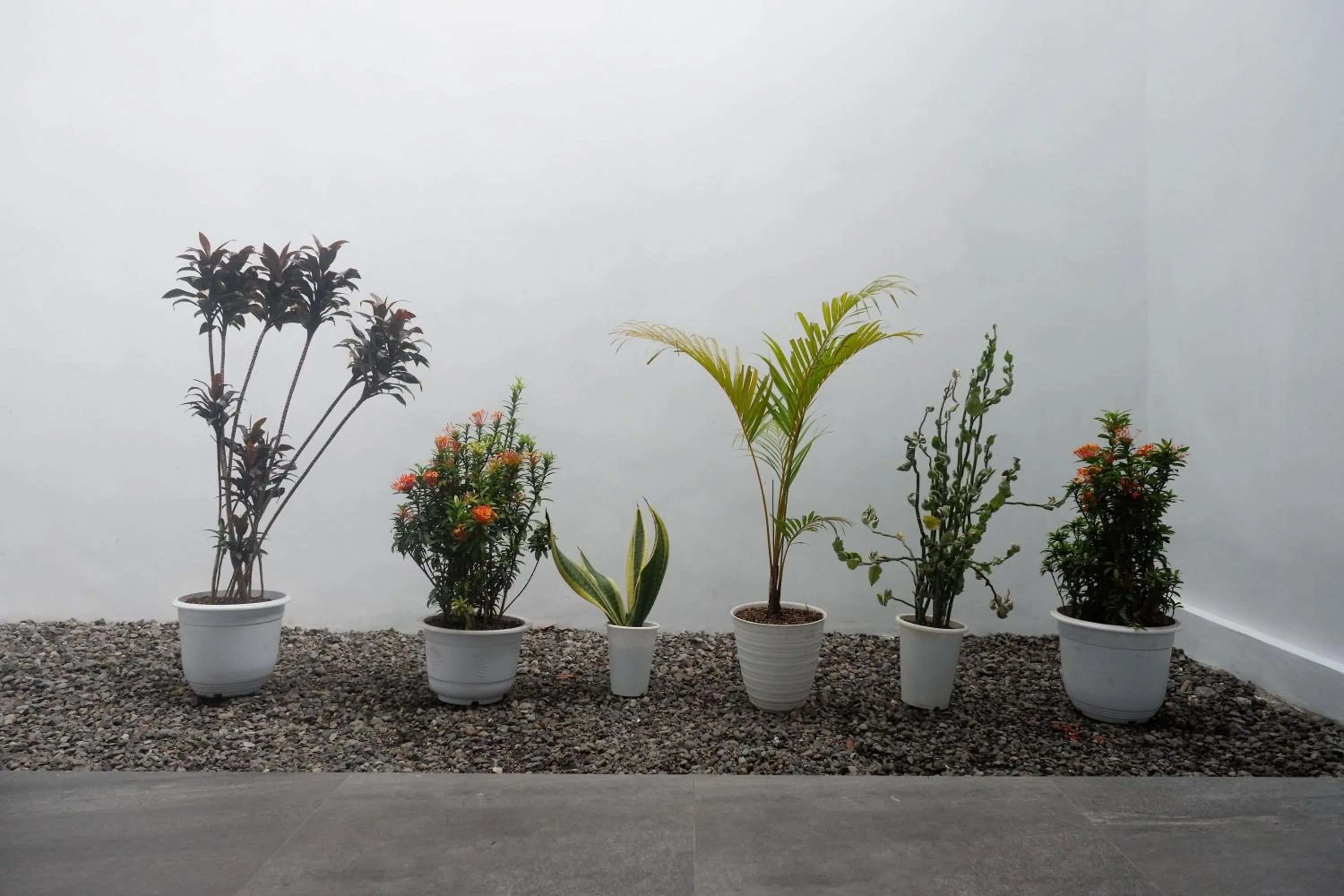 Patio in The Lavana Greenkhaza Villa Jogja