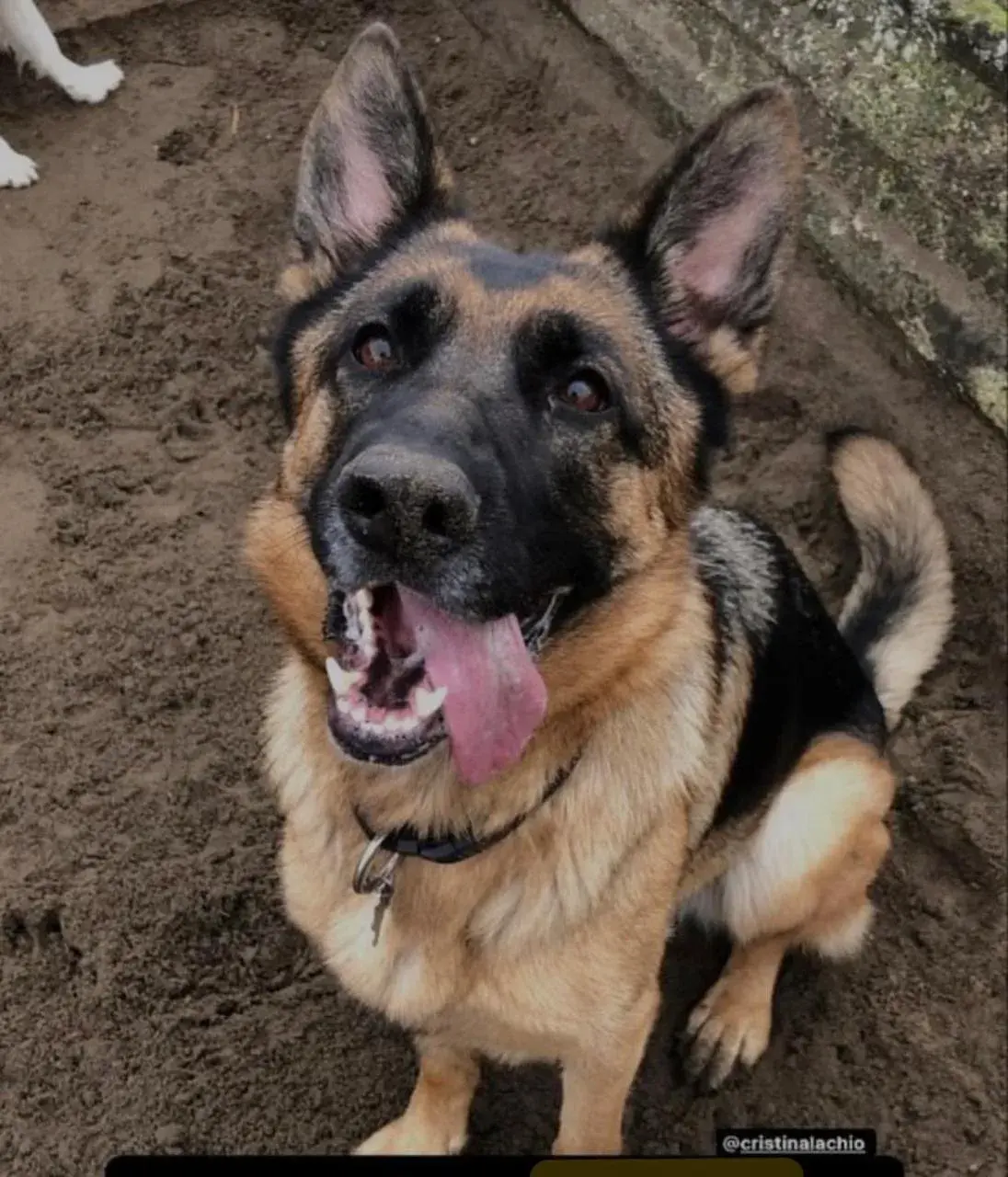 Triple Room in Hotel Miramare Chioggia Sottomarina Triple Room in Hotel Miramare Chioggia Sottomarina