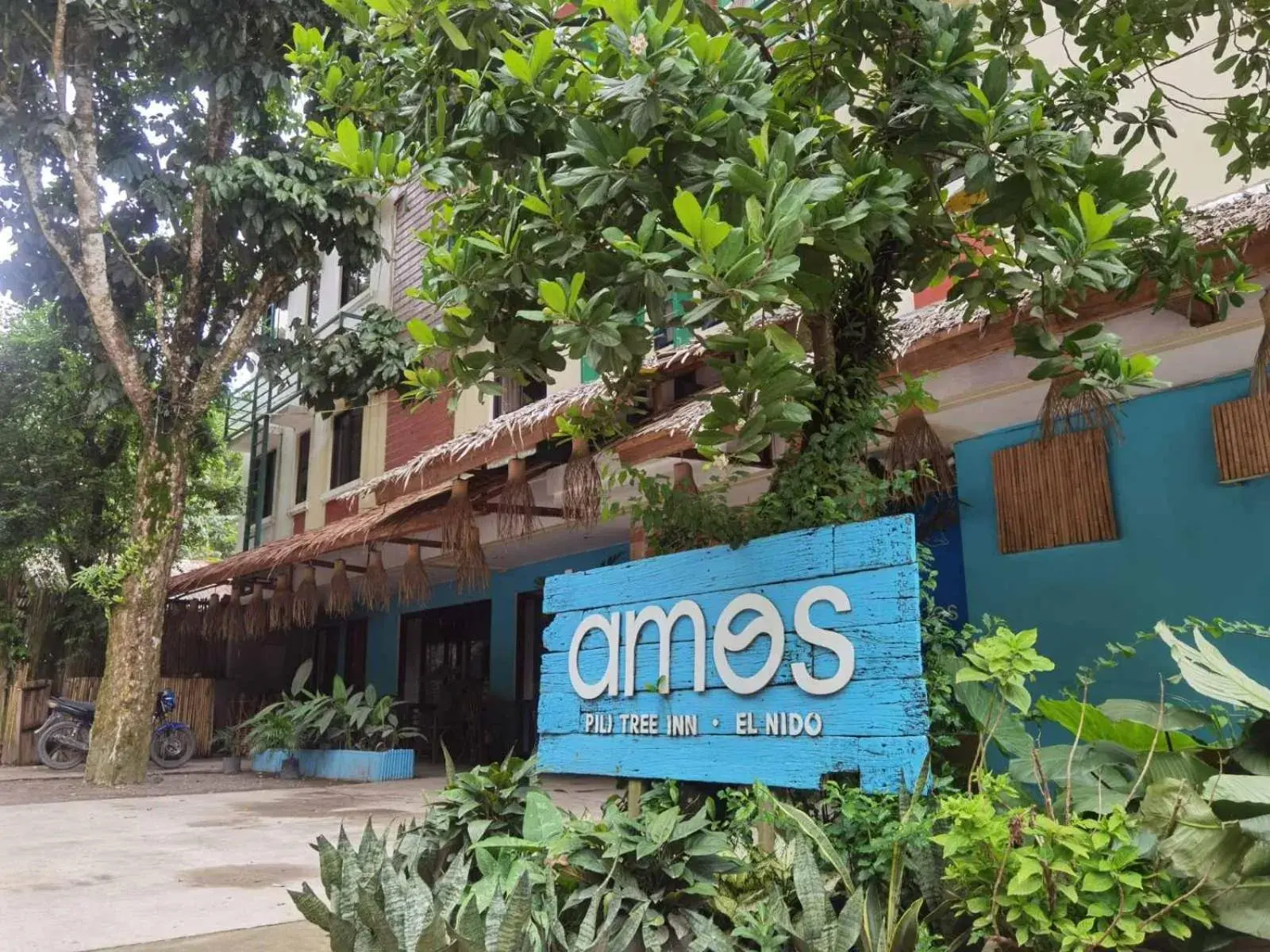 Property building in Amos Pili Tree Inn powered by Cocotel Property building in Amos Pili Tree Inn powered by Cocotel