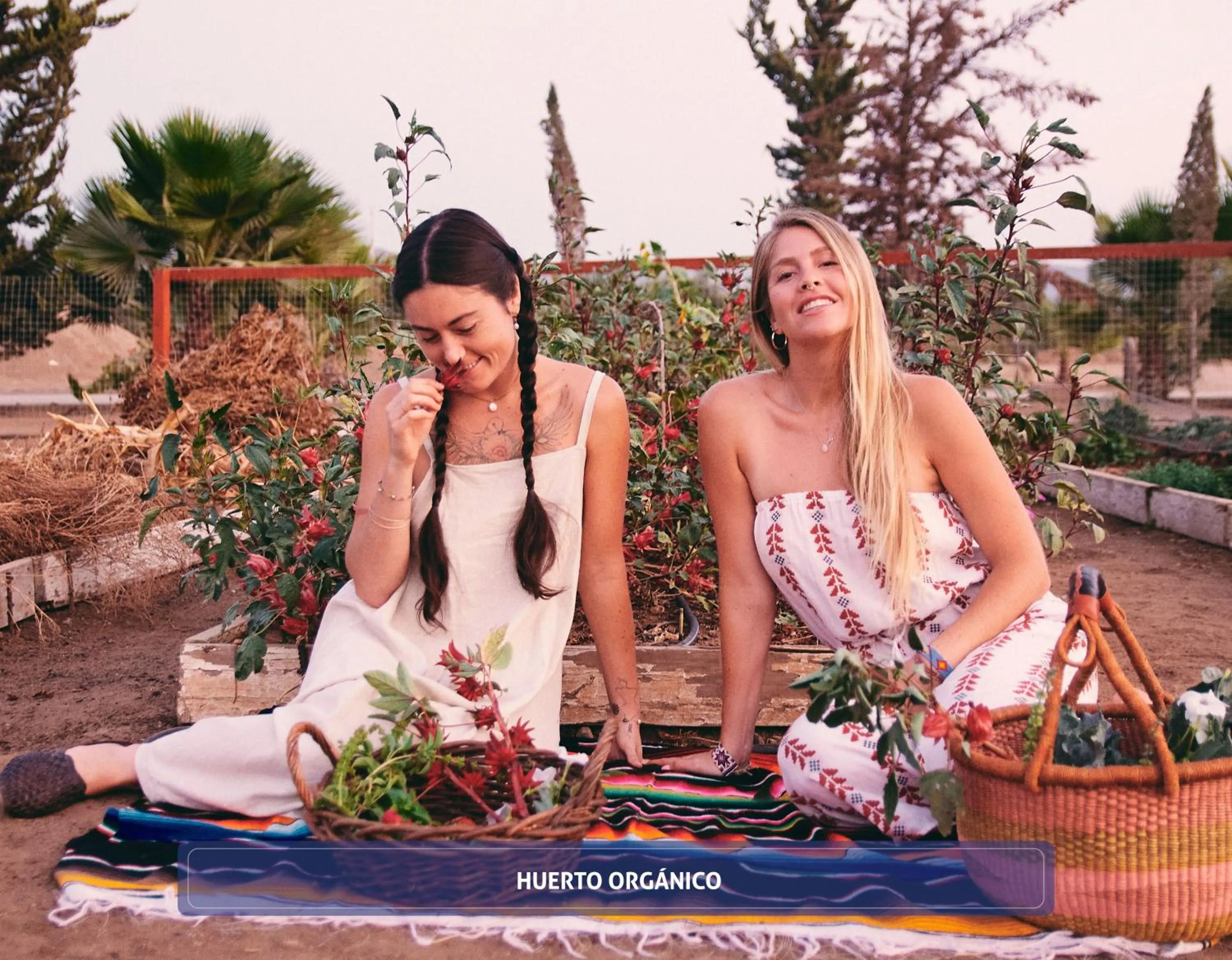 People in Hotel Boutique Valle de Guadalupe & Spa