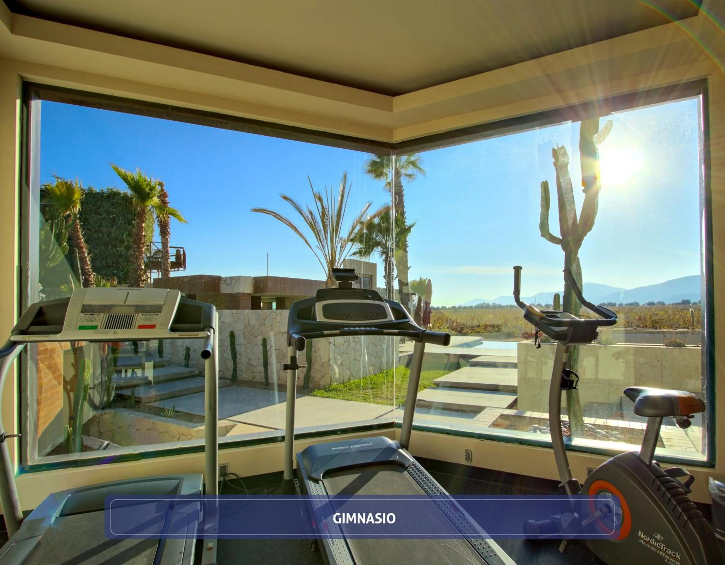 Fitness centre/facilities in Hotel Boutique Valle de Guadalupe & Spa