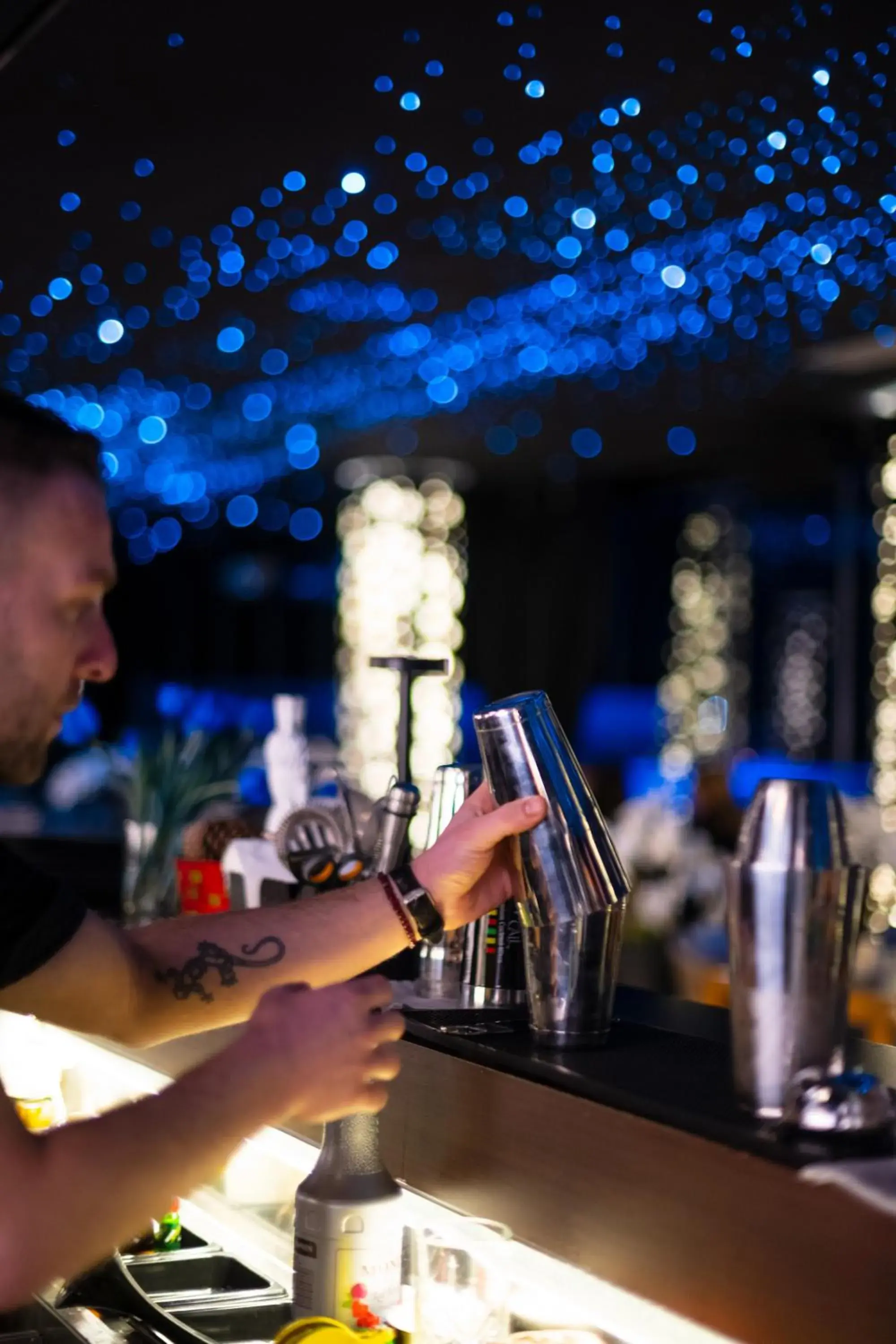 Restaurant/places to eat in Arka Art Hotel Restaurant/places to eat in Arka Art Hotel